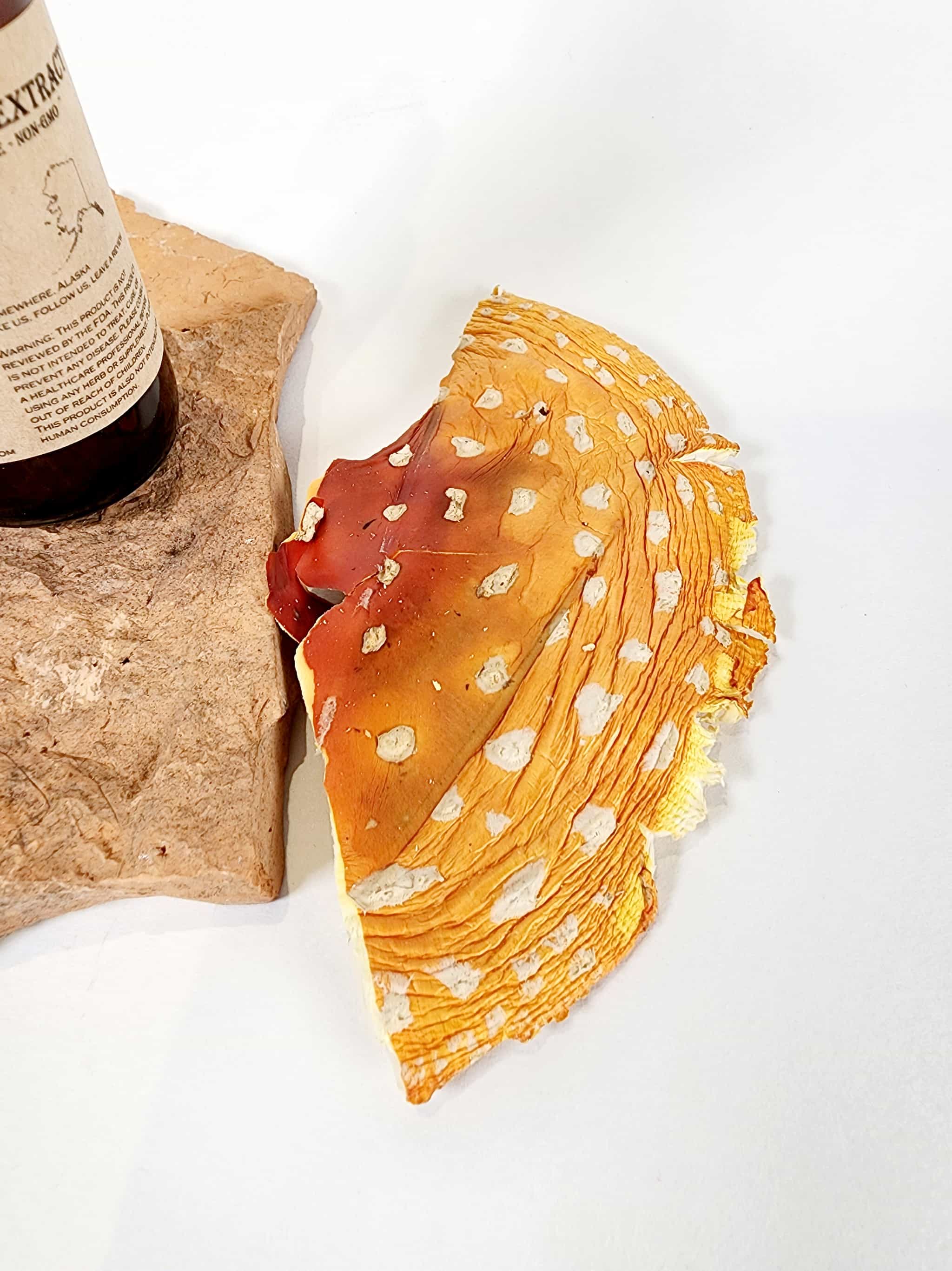 Decarboxylated Alaskan Amanita Muscaria Mushroom Tincture, Double Extracted Fly Agaric Mushroom
