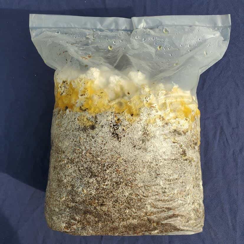 Product image #1