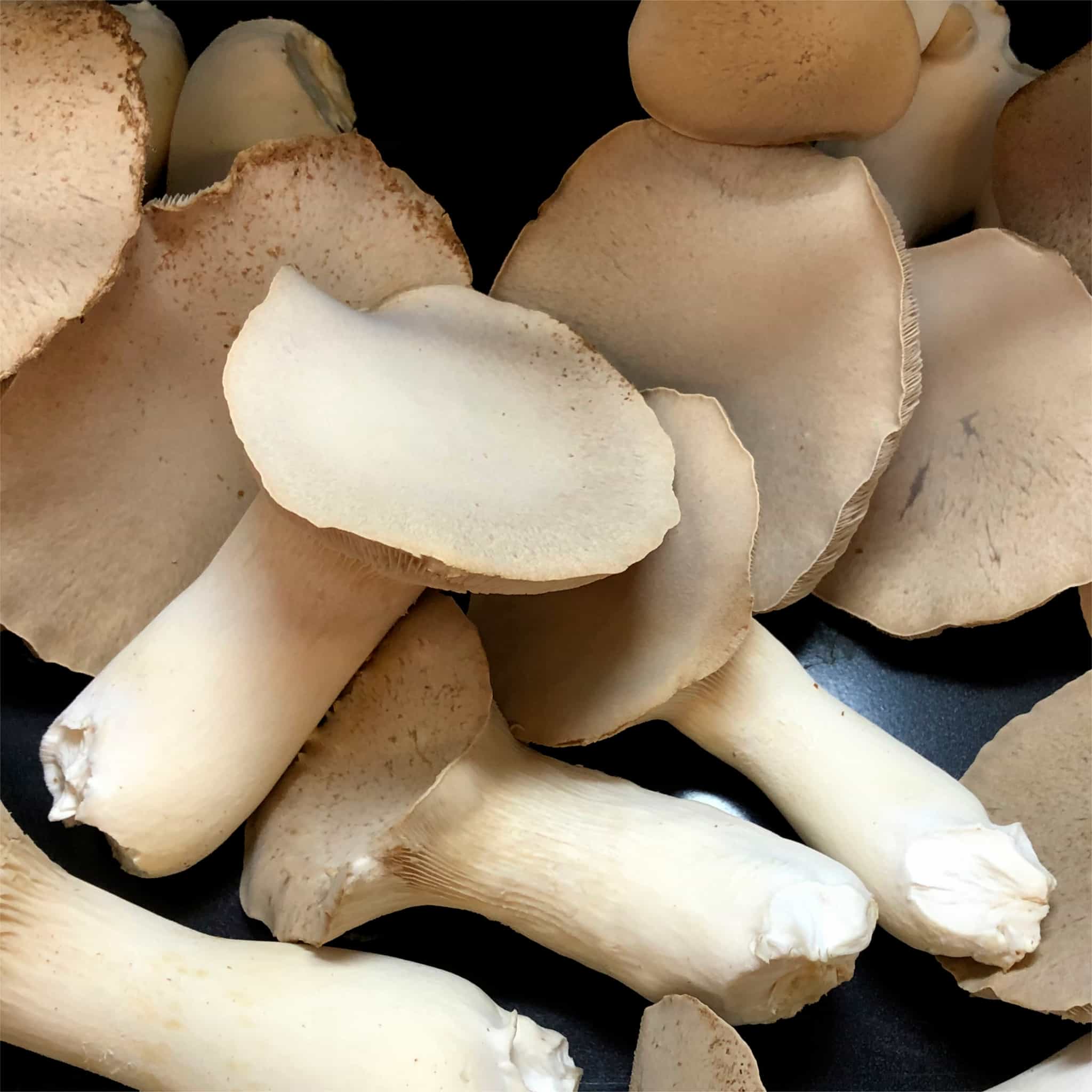 Product thumbnail #1