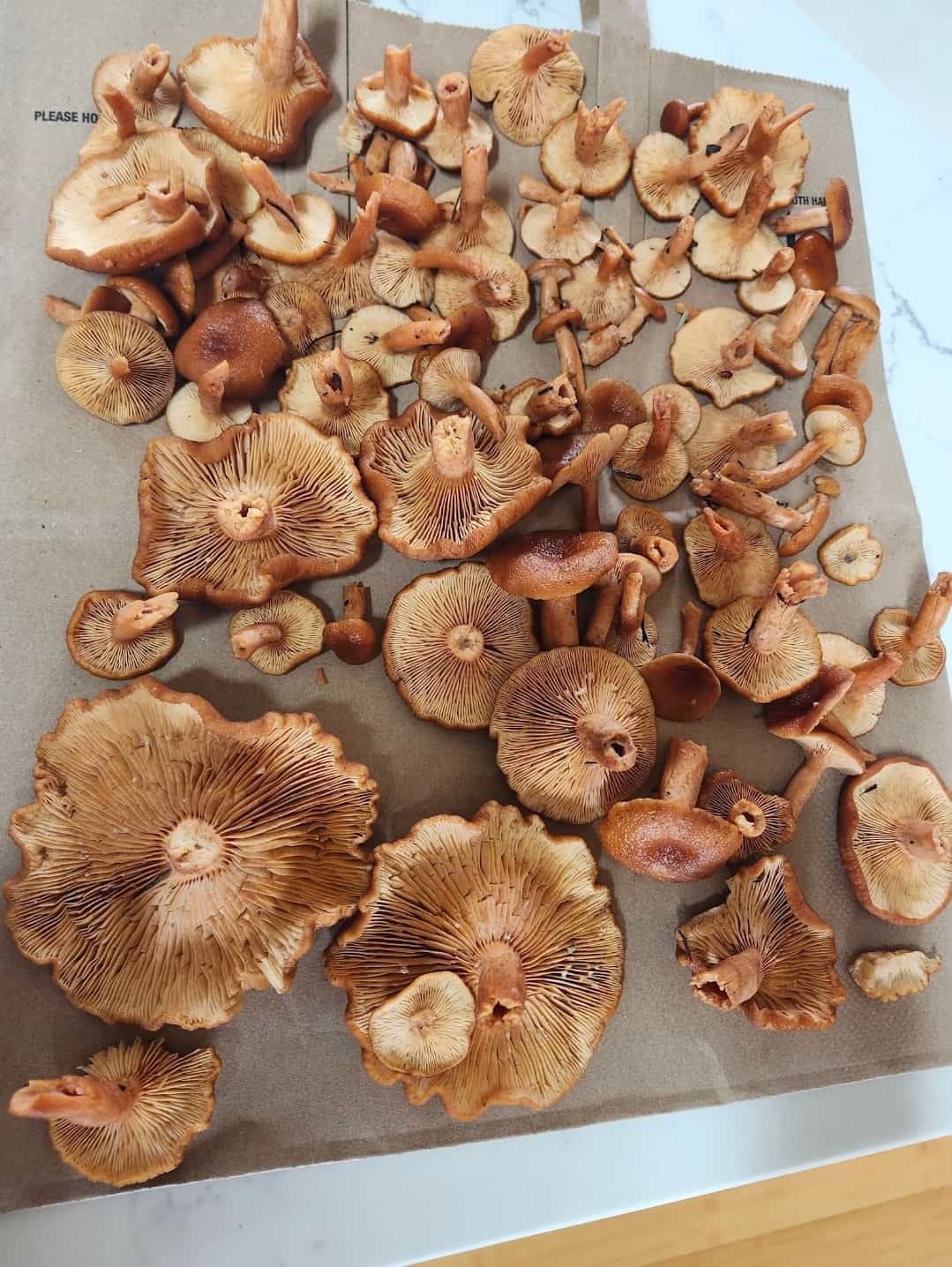 Product thumbnail #1