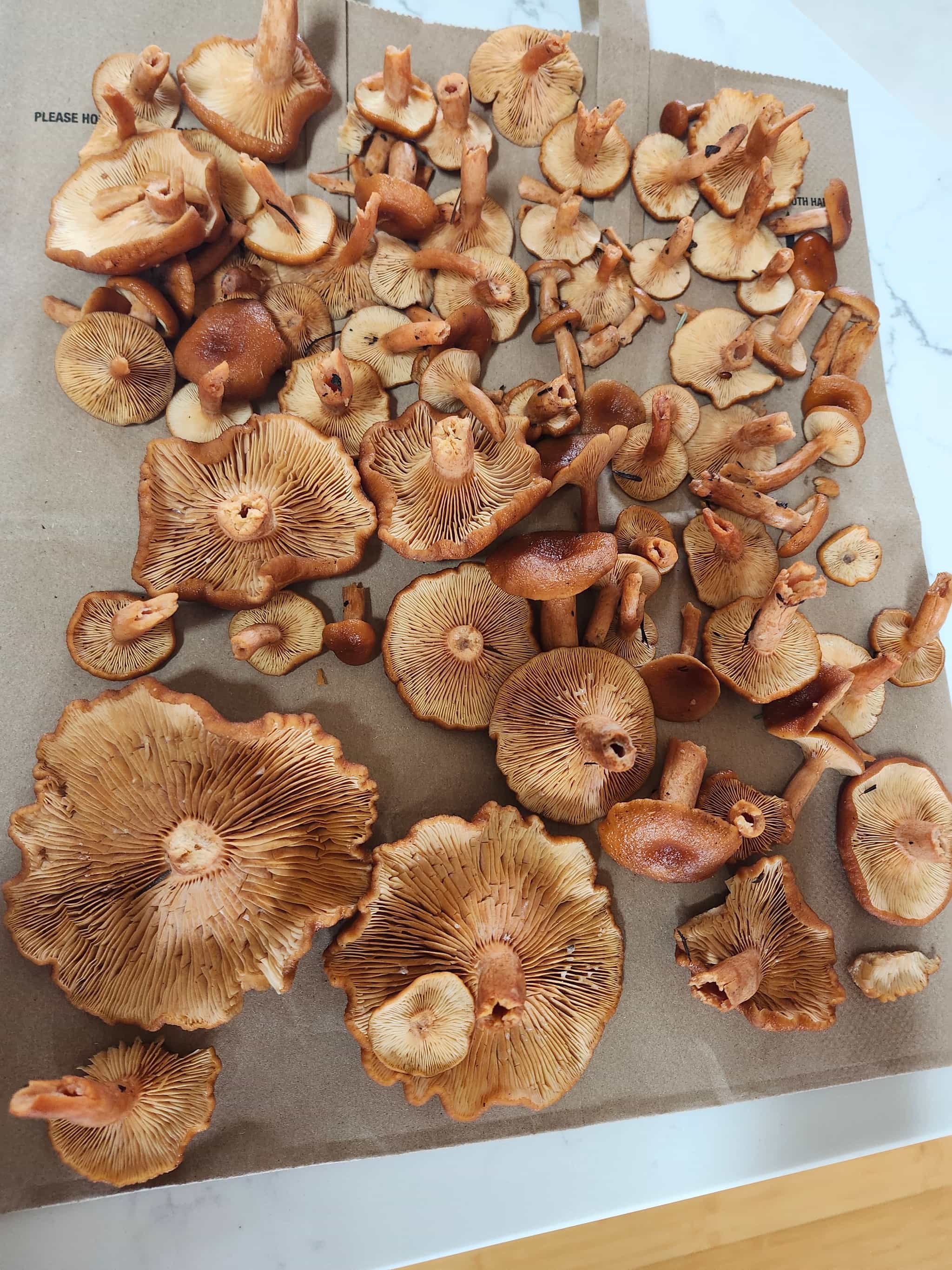 Product thumbnail #3