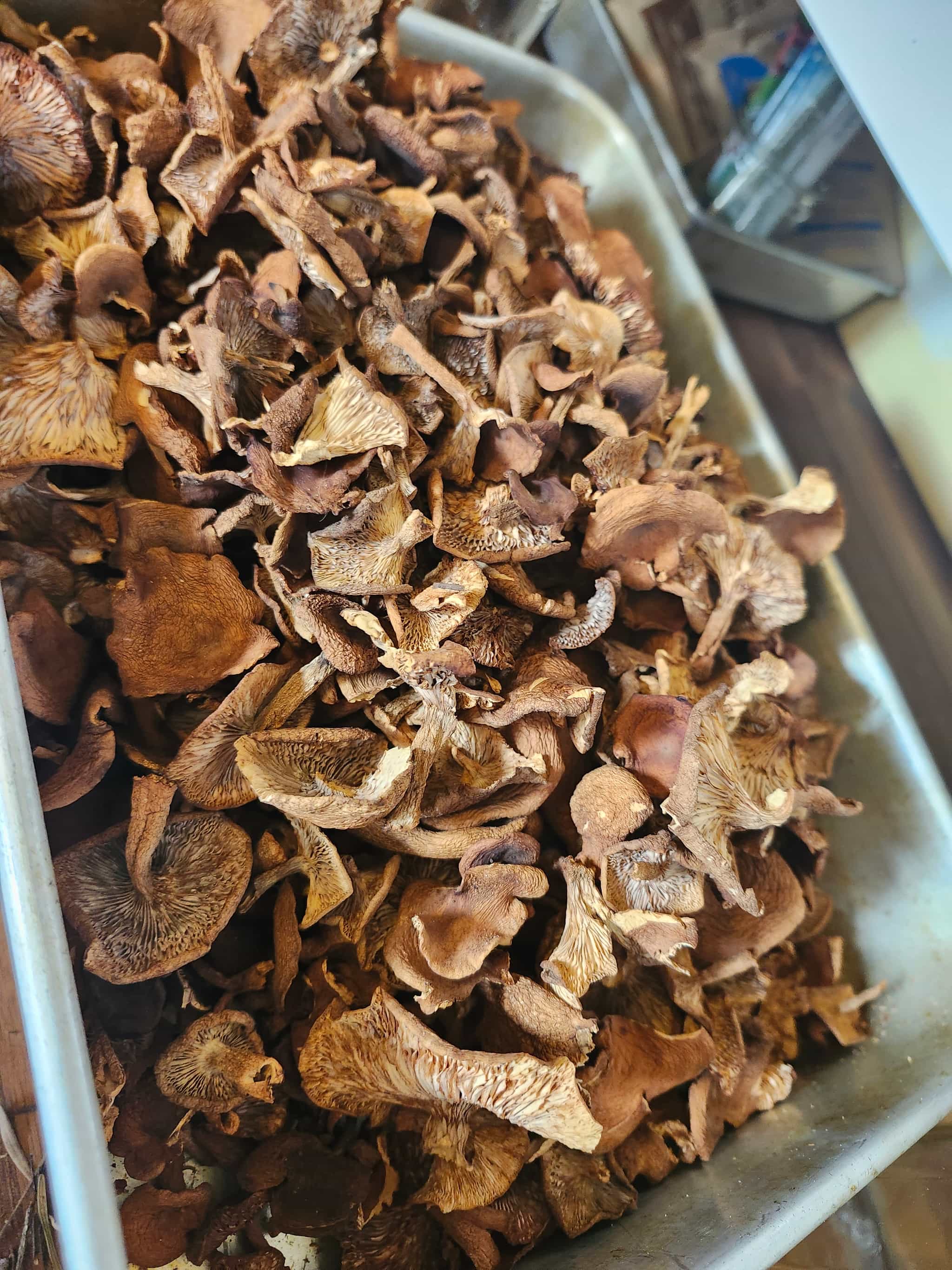 Product thumbnail #4