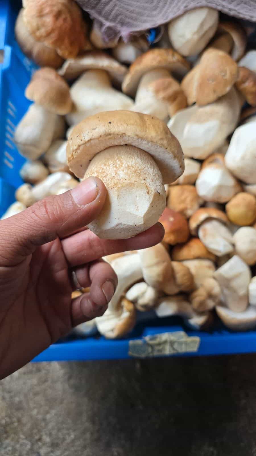 Product thumbnail #1