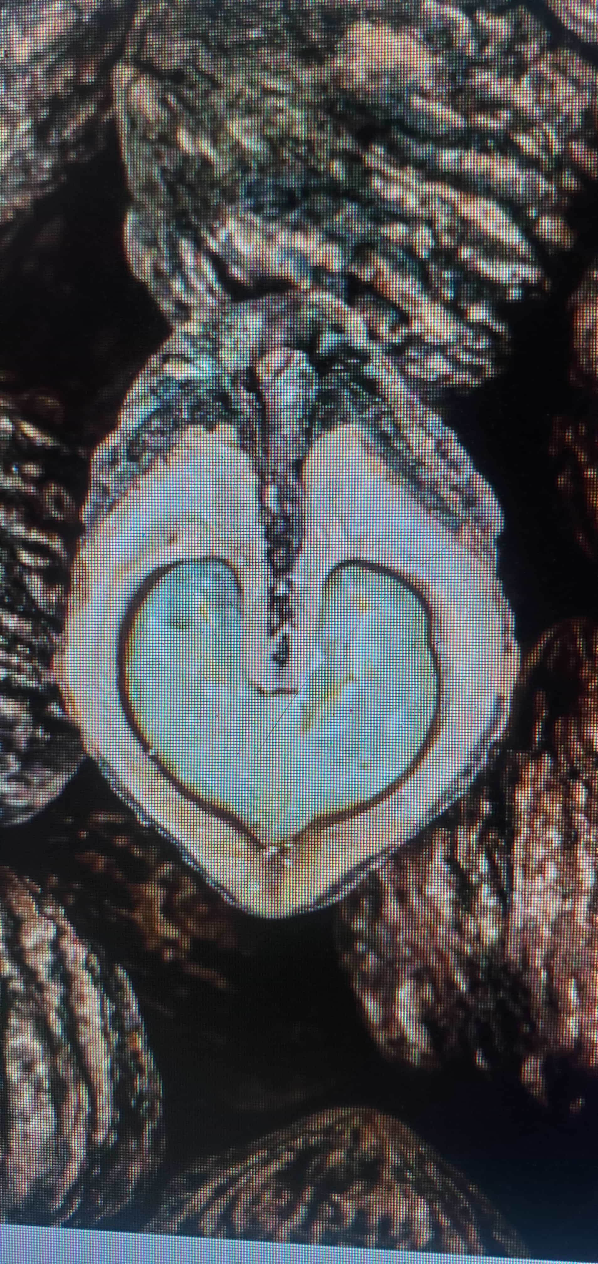 Raw American Black Walnut | fresh sealed Nibs Nut Meat