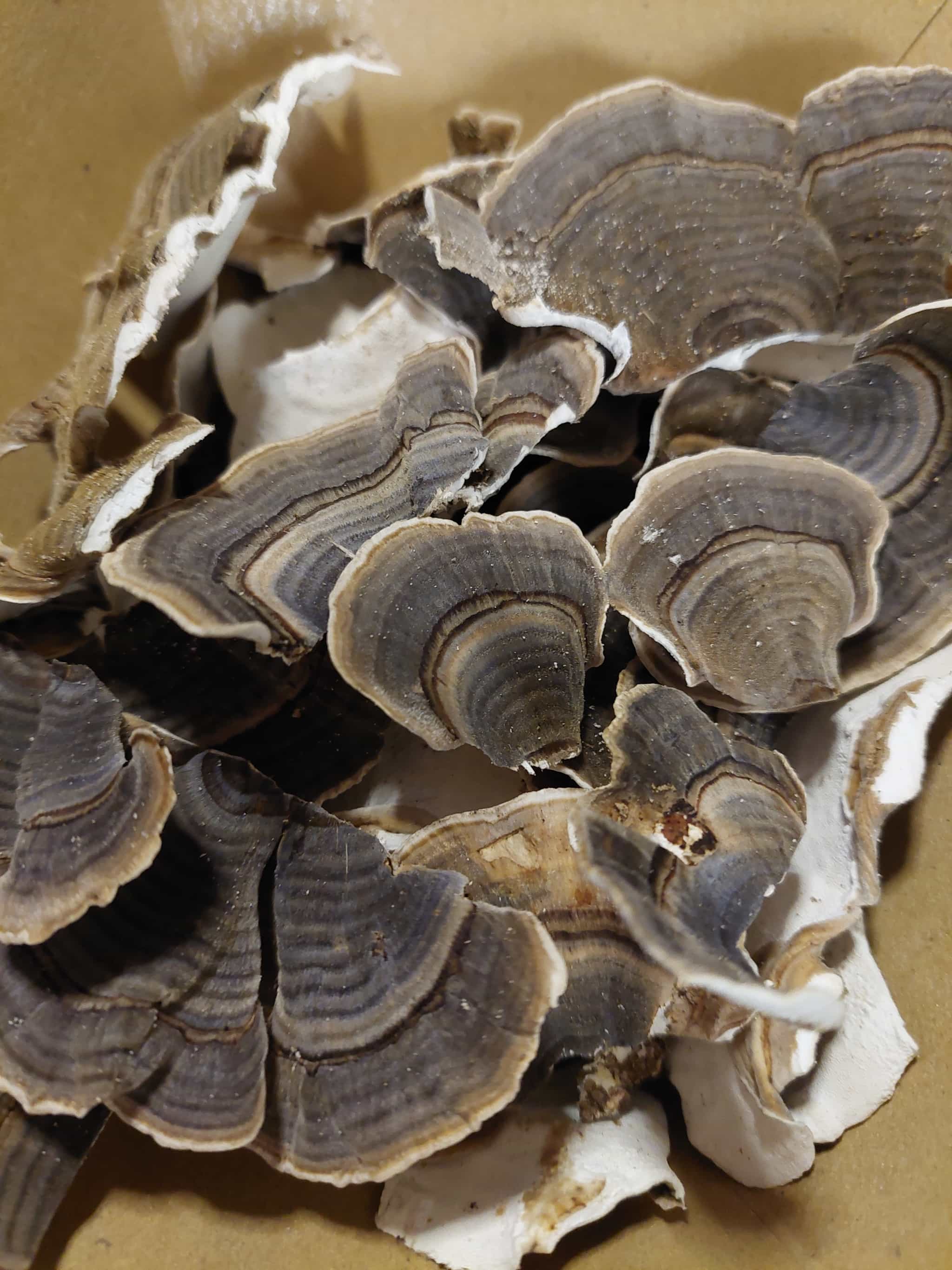 Product thumbnail #4