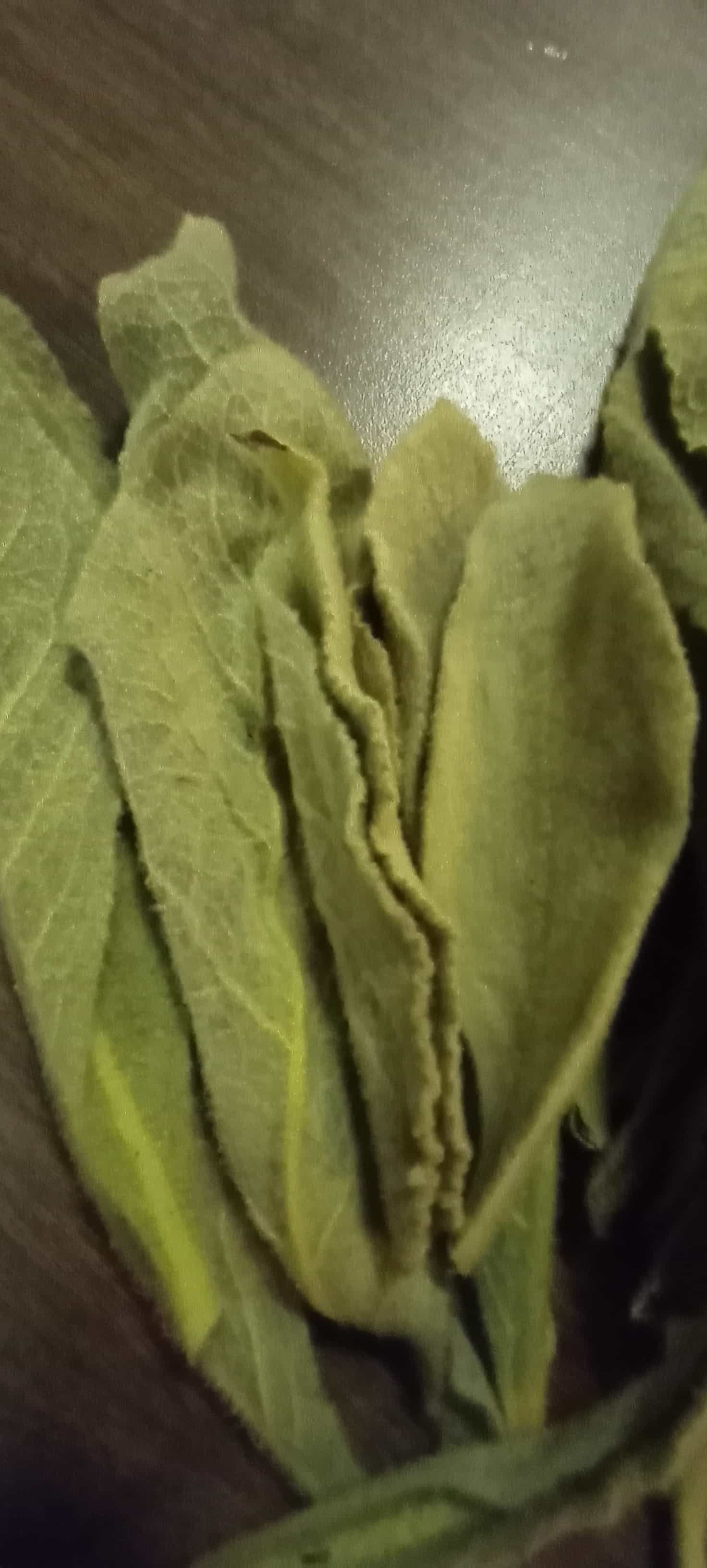 Product image #1