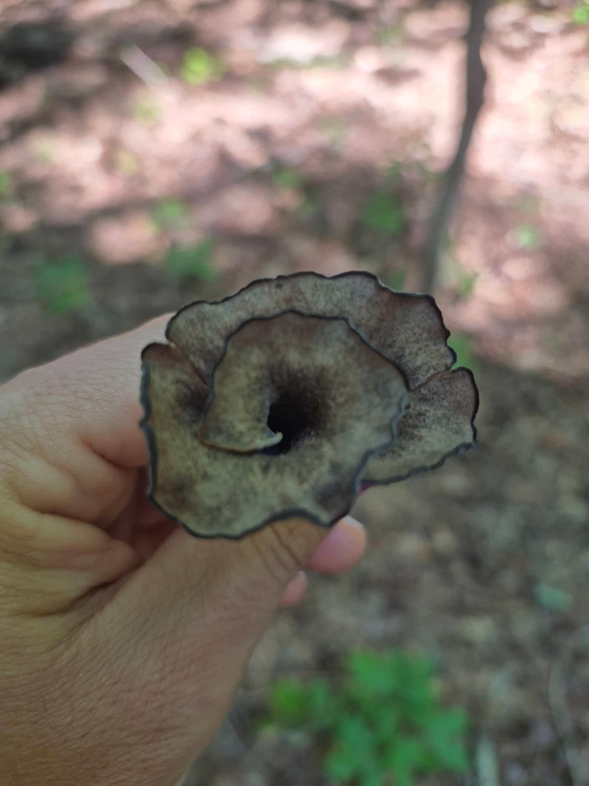 Product thumbnail #3