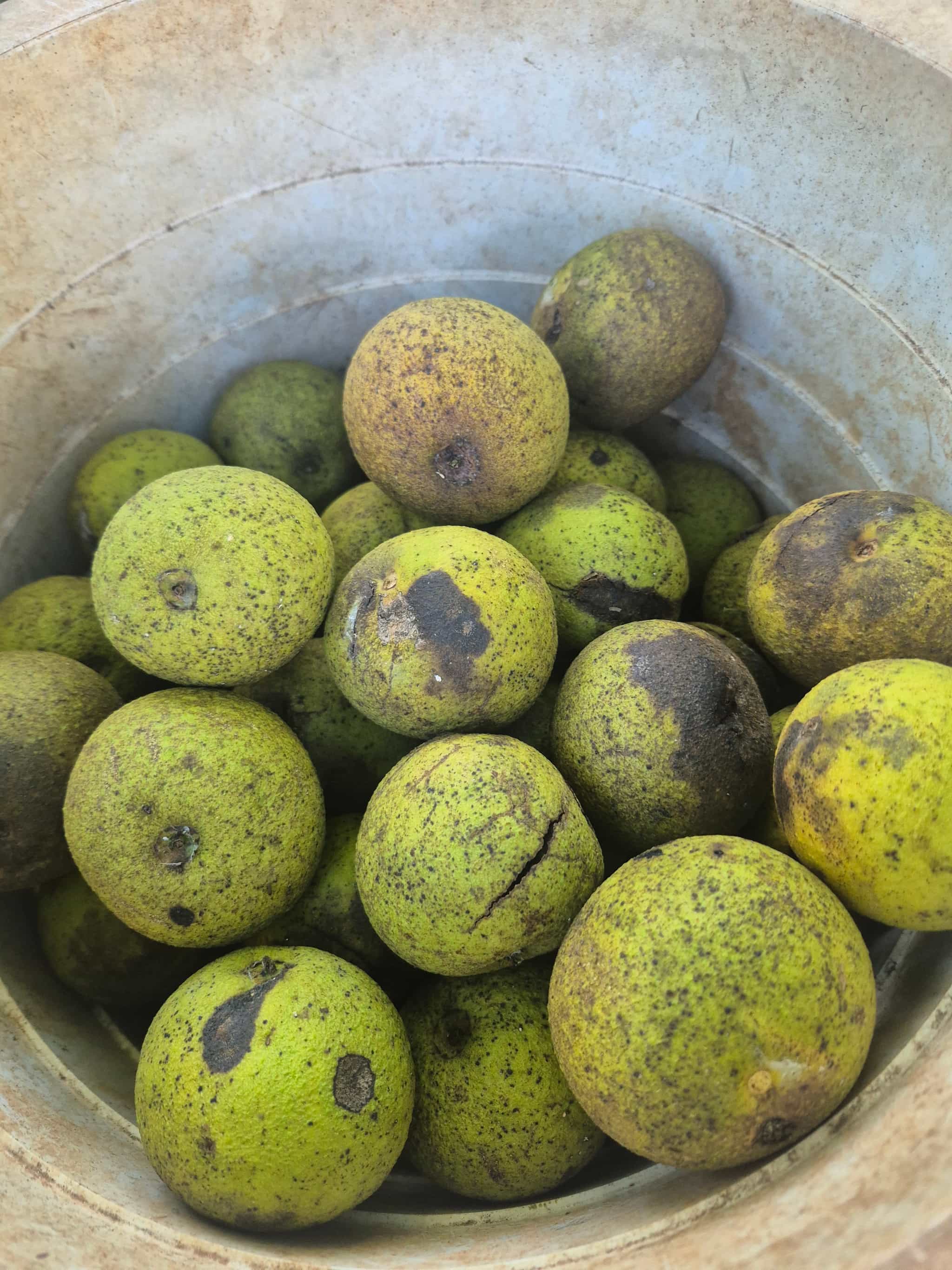 Product thumbnail #3