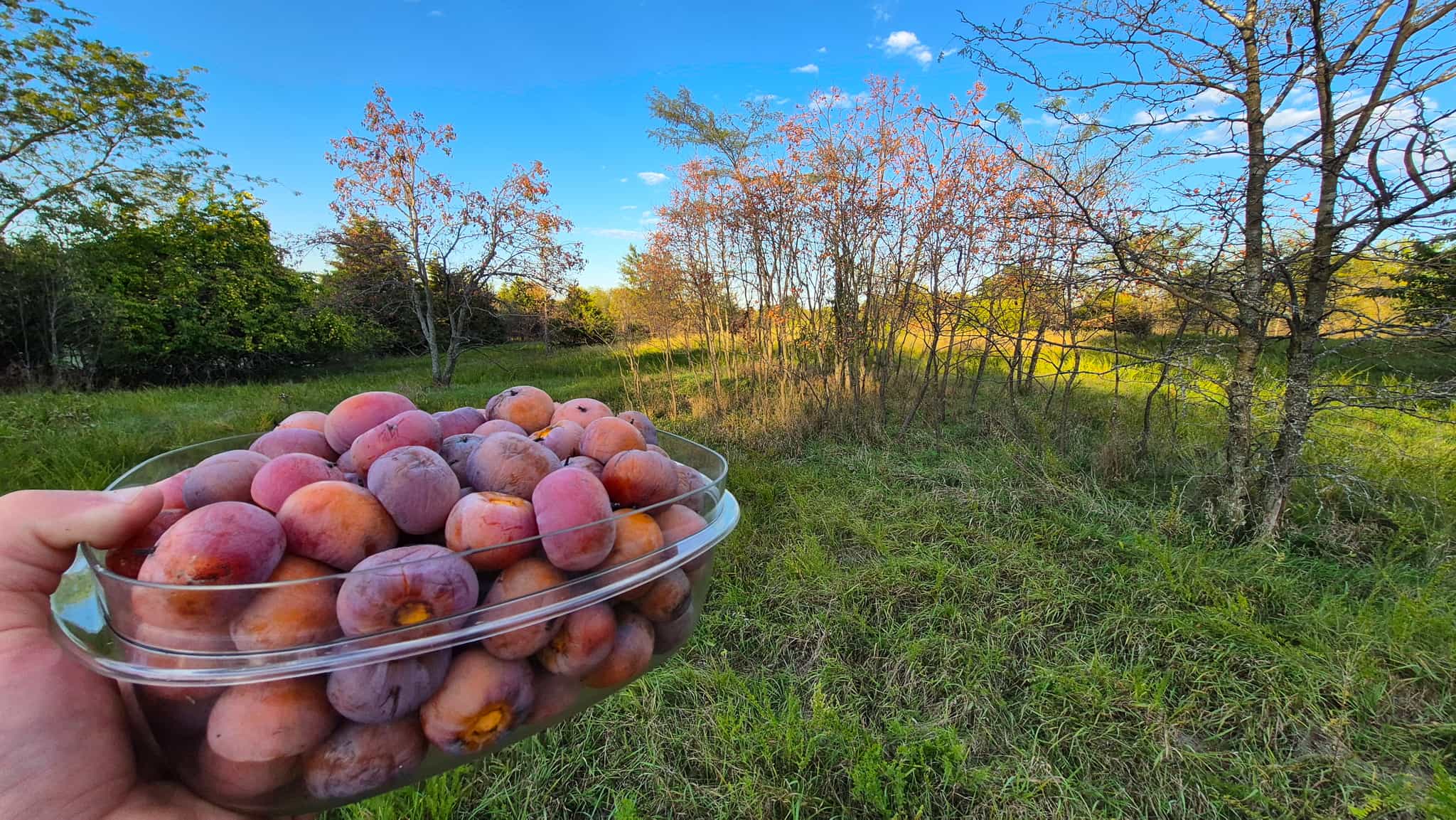 Product thumbnail #1