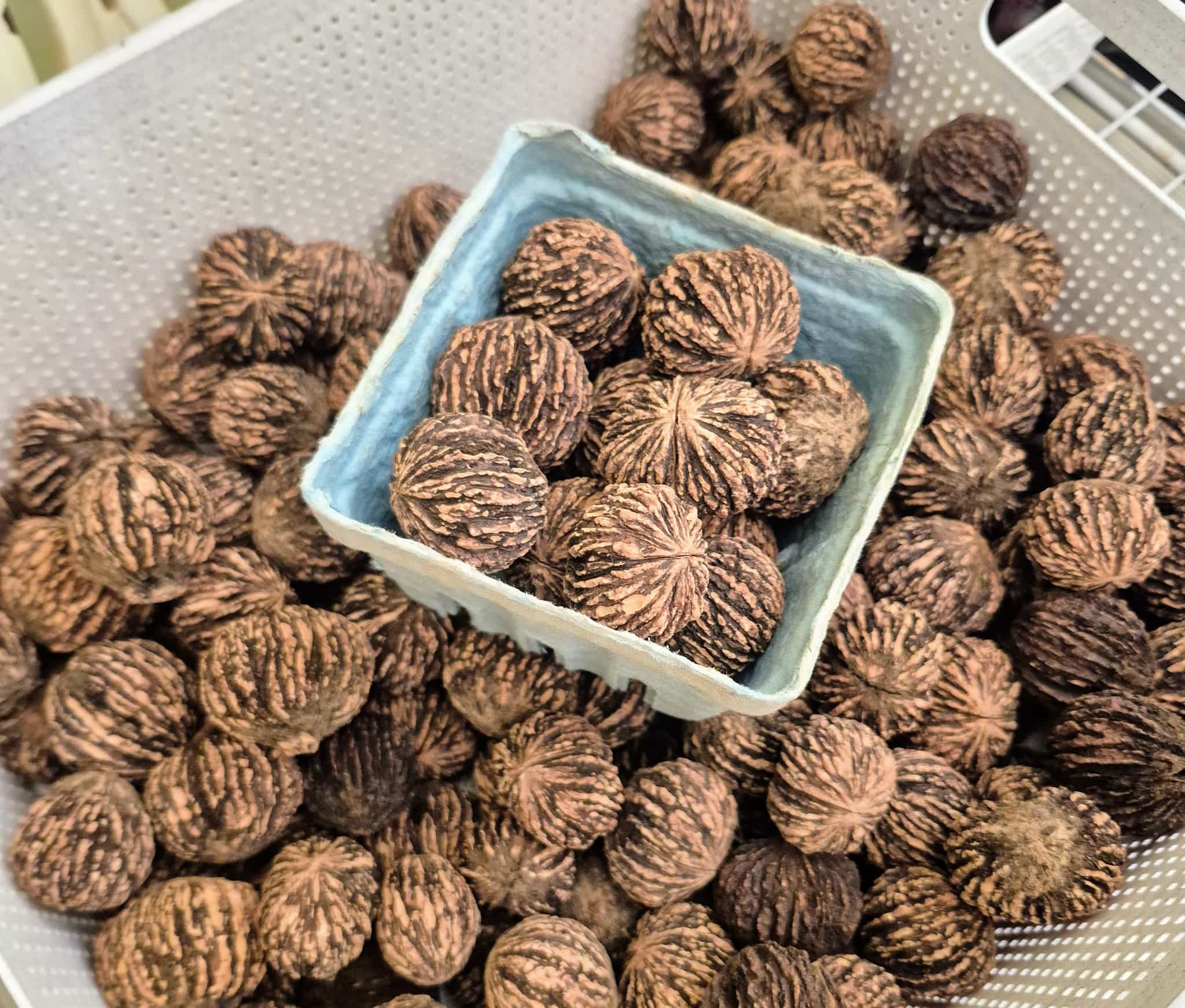 Product thumbnail #4