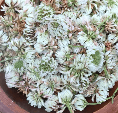 Product thumbnail #1