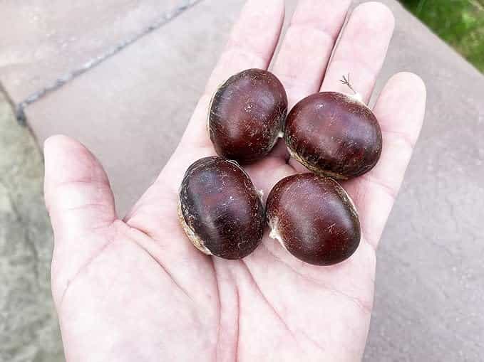 Product thumbnail #1