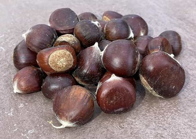 Product thumbnail #2