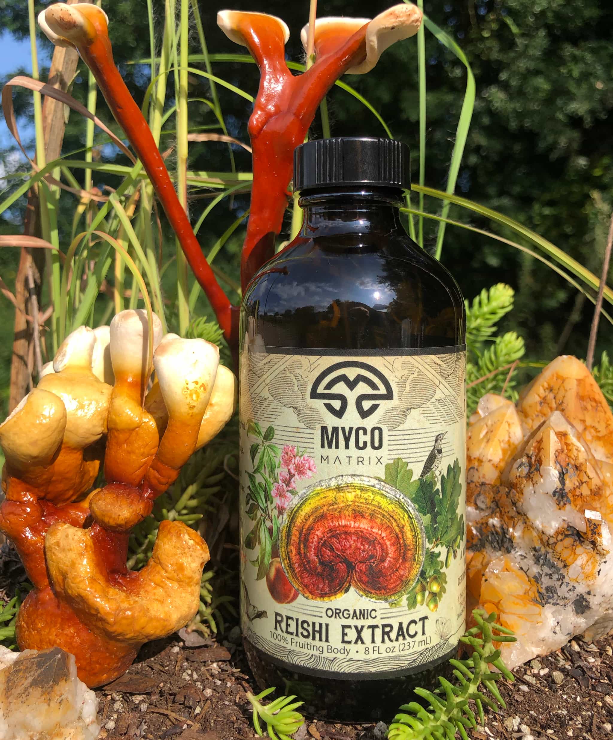 Product image #1
