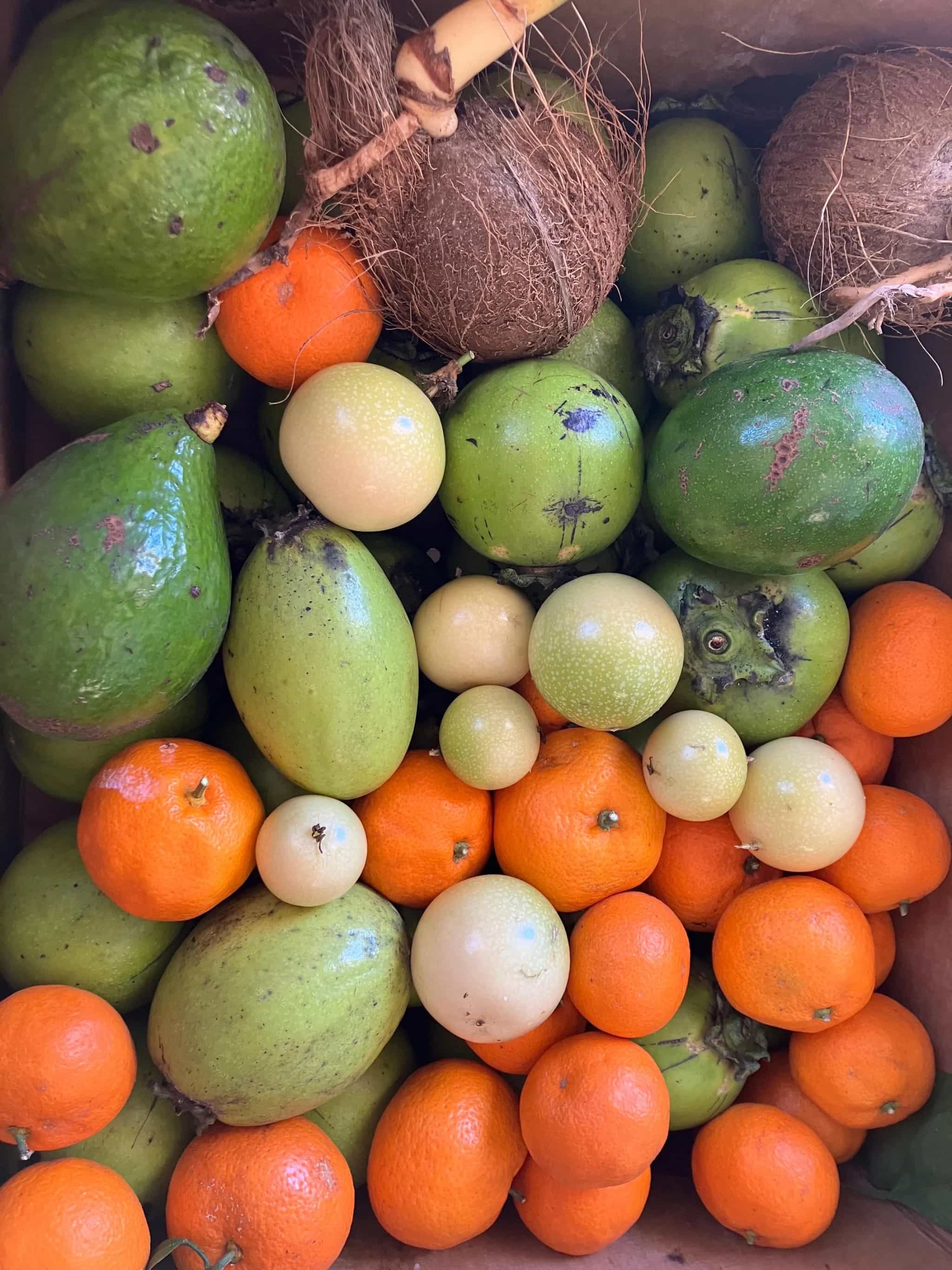 "Spring Tropicals" Assorted Fruit Box