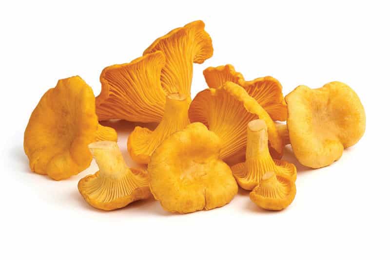 Product thumbnail #1