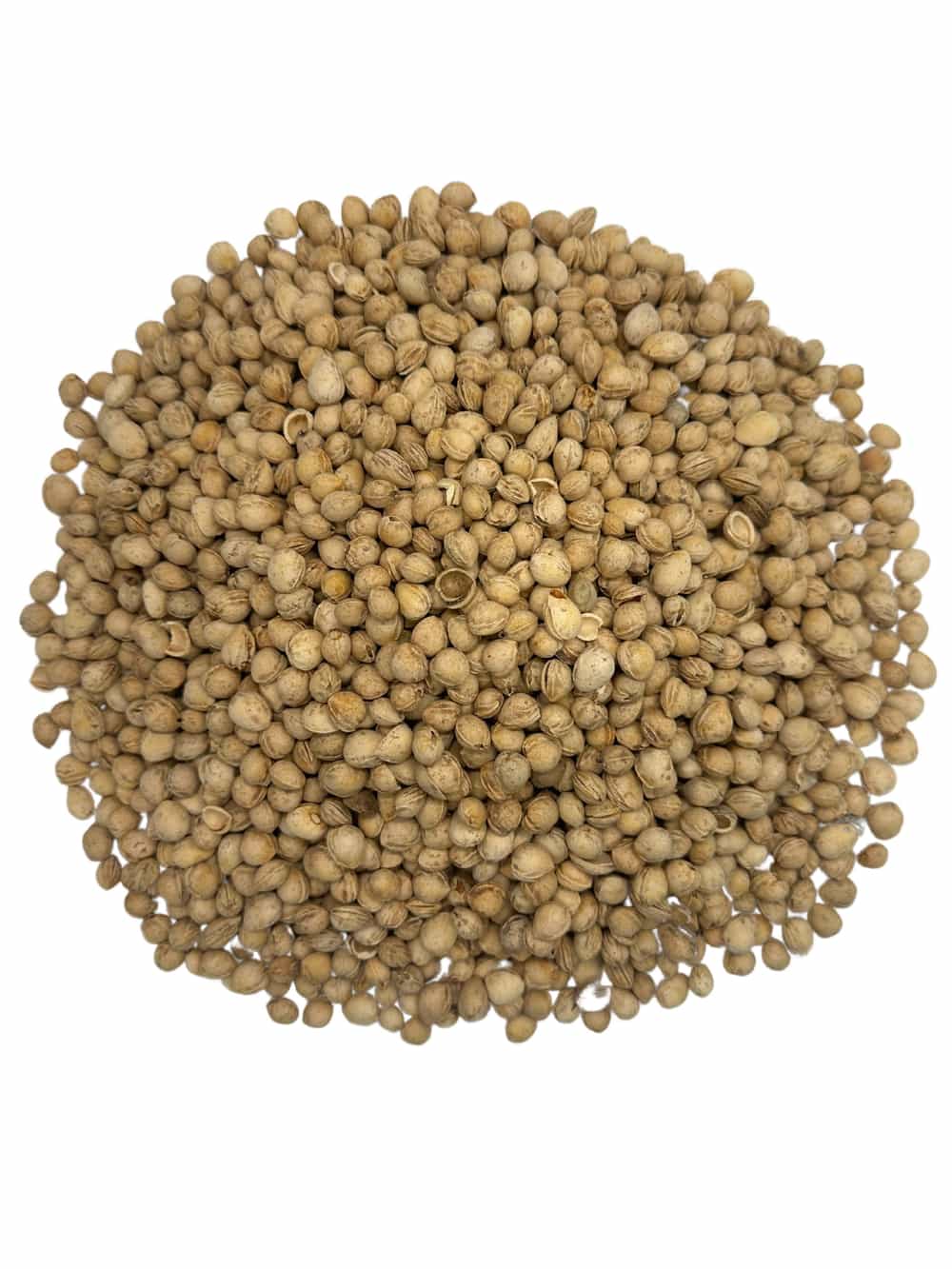 Dried Cherry Pits Foraged