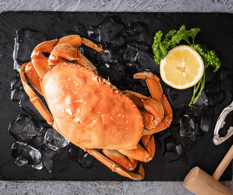Live Dungeness Crabs