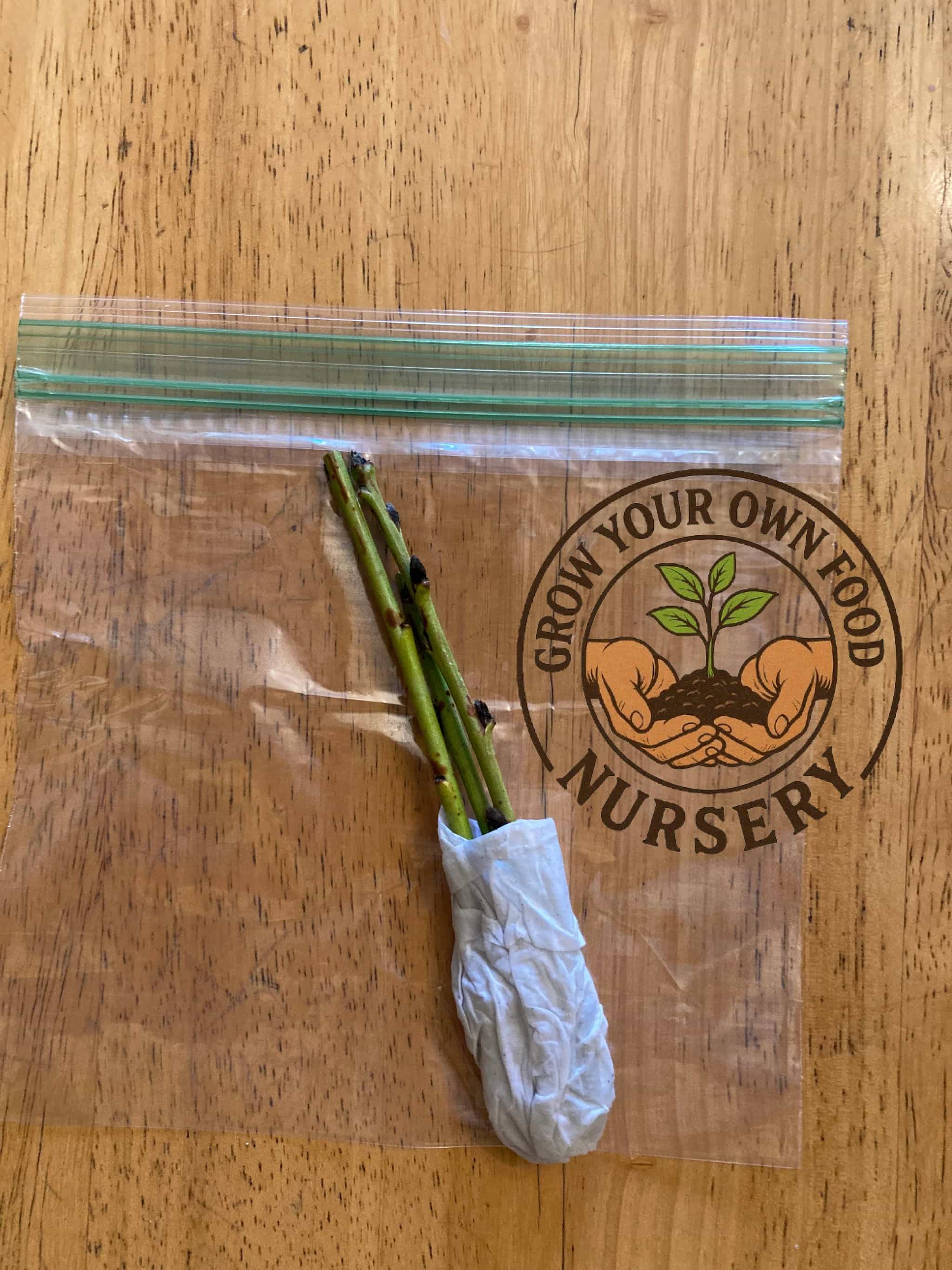 Product thumbnail #2