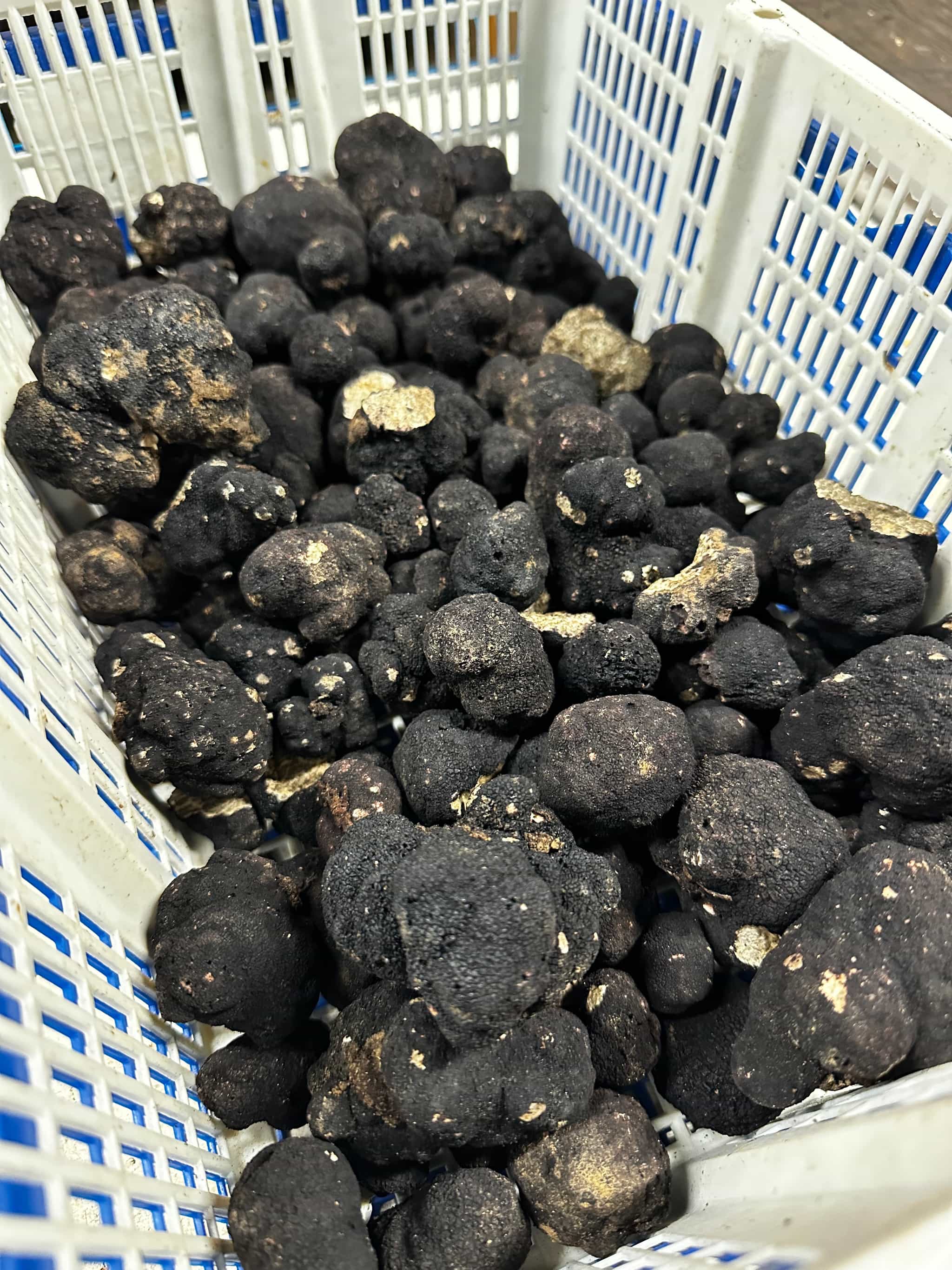 Product thumbnail #1