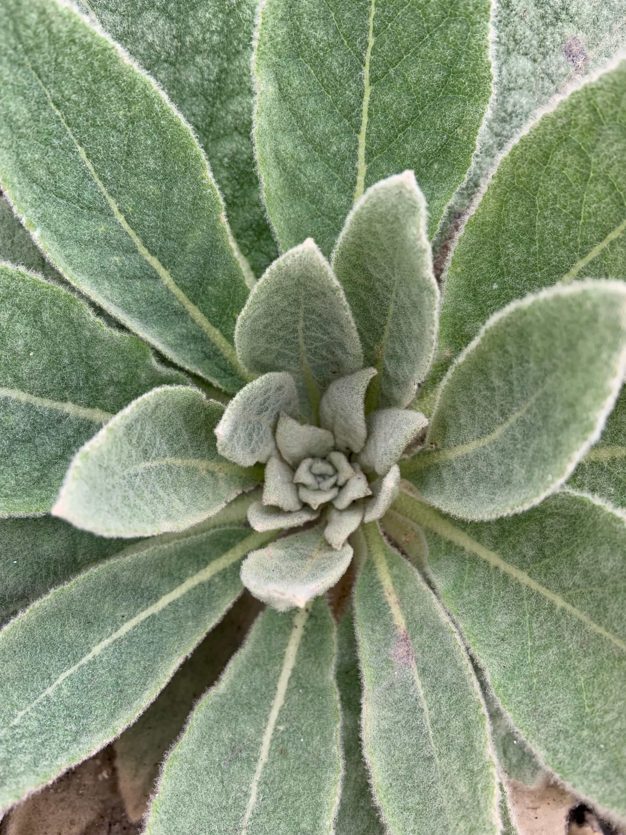 Product thumbnail #1