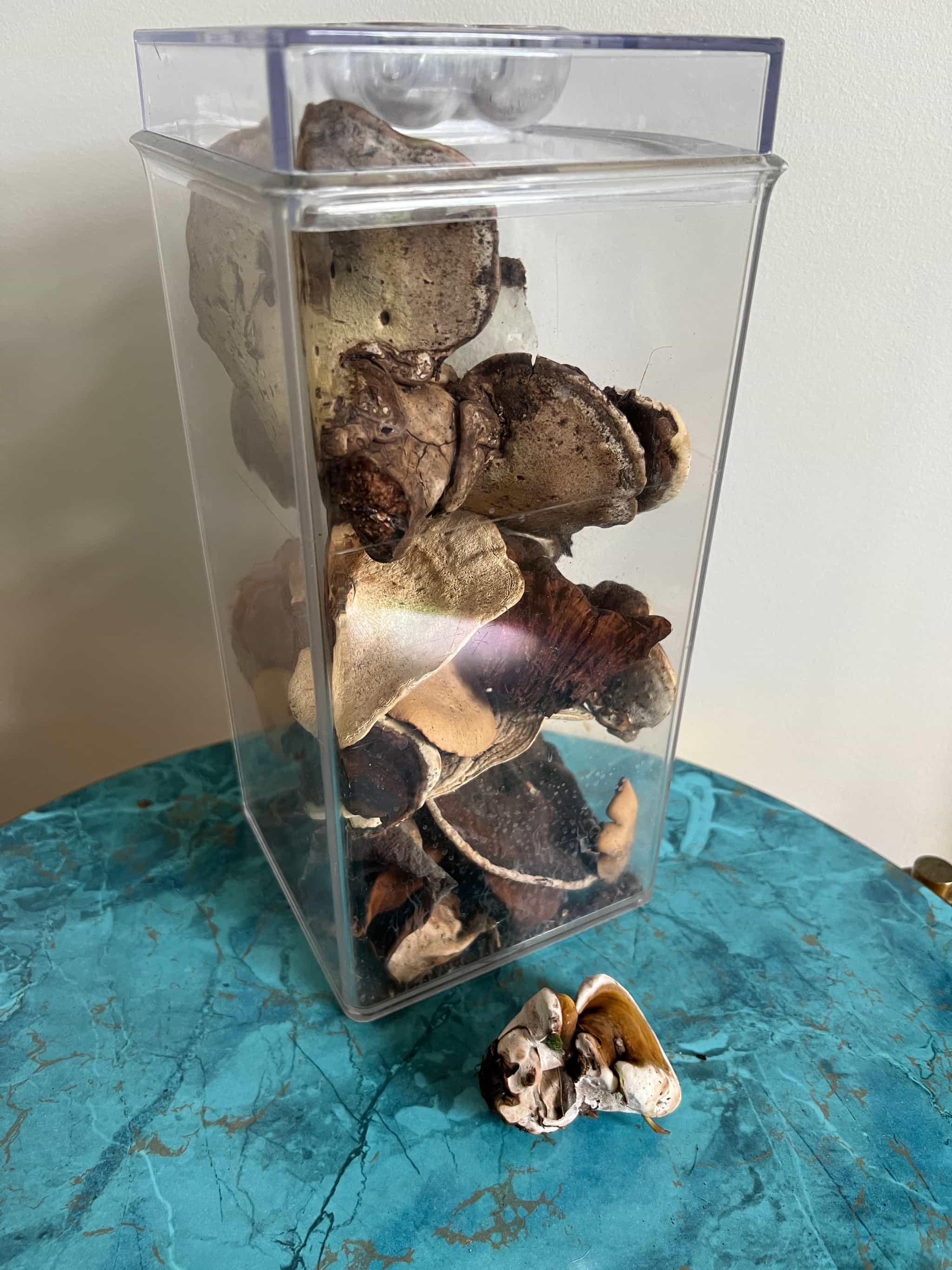 Product image #2