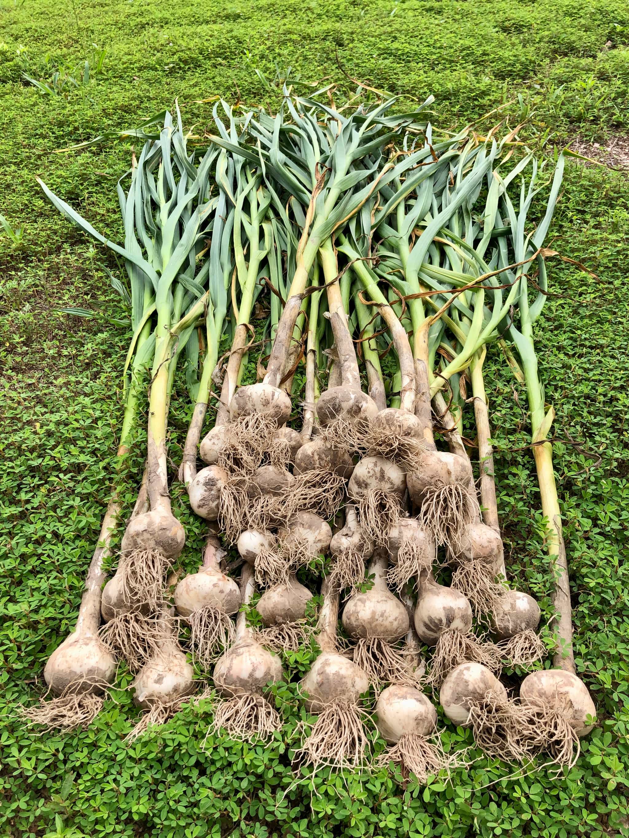 Product thumbnail #4