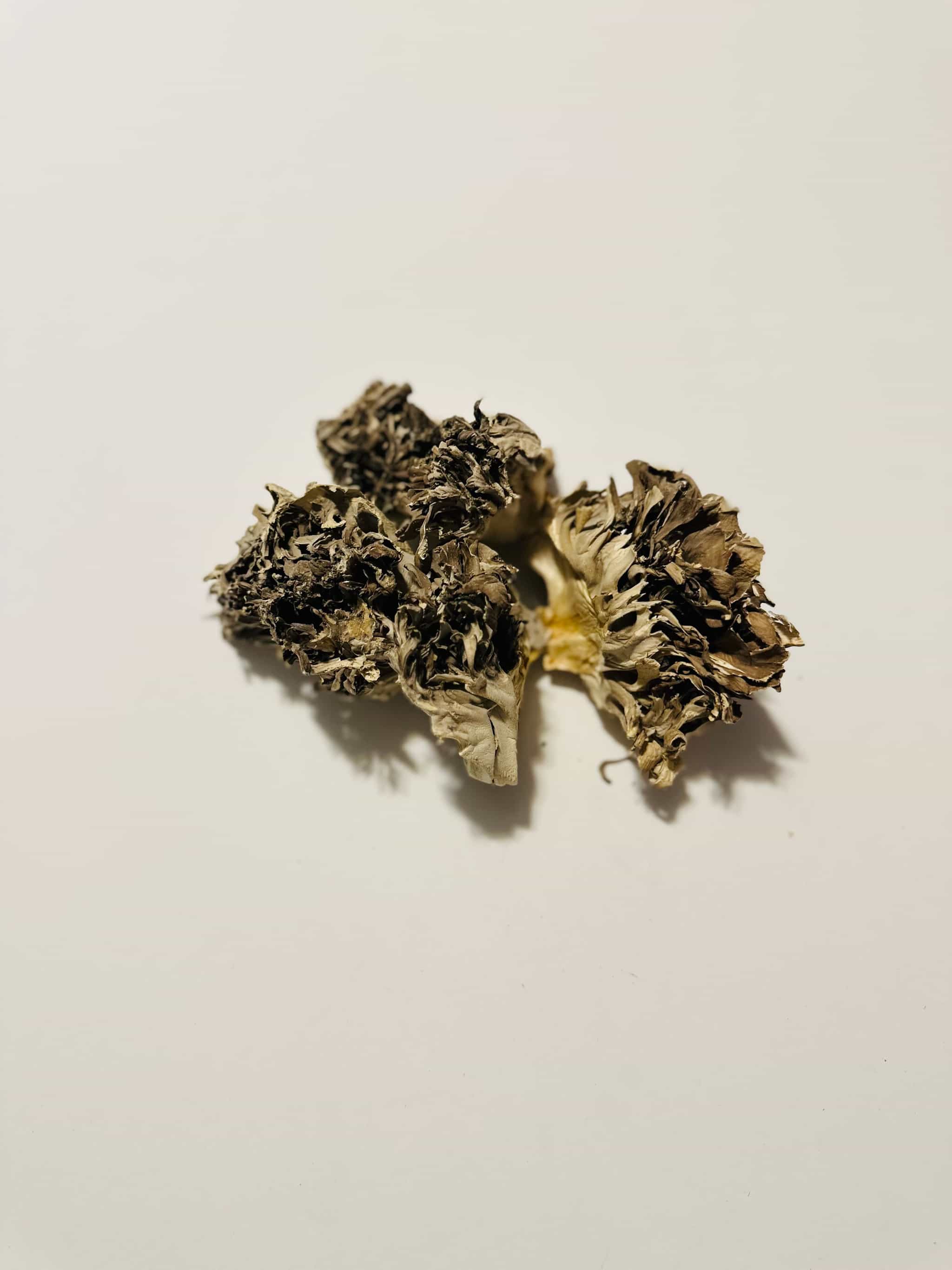 Dried Maitake Mushrooms