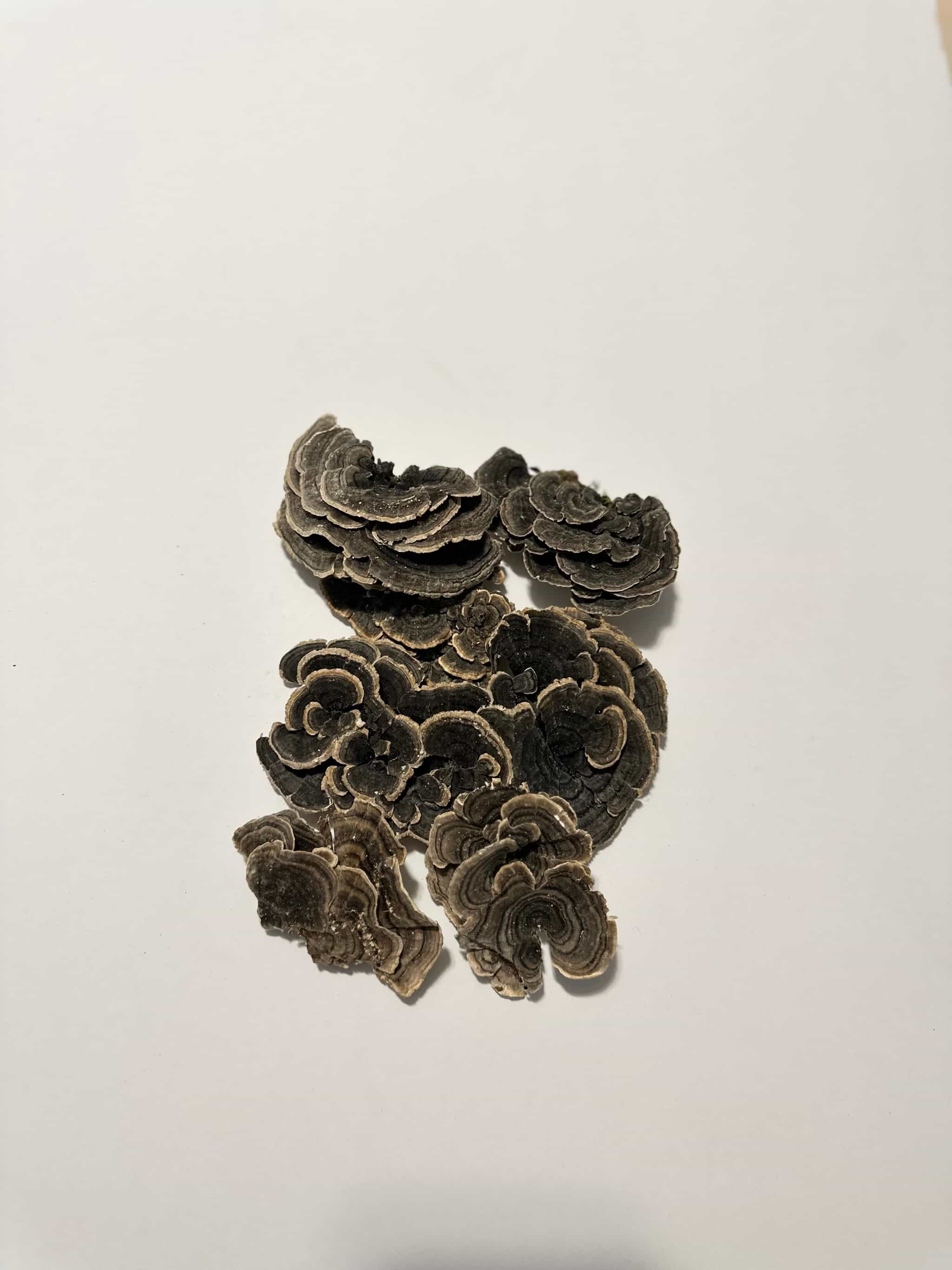 Product image #0