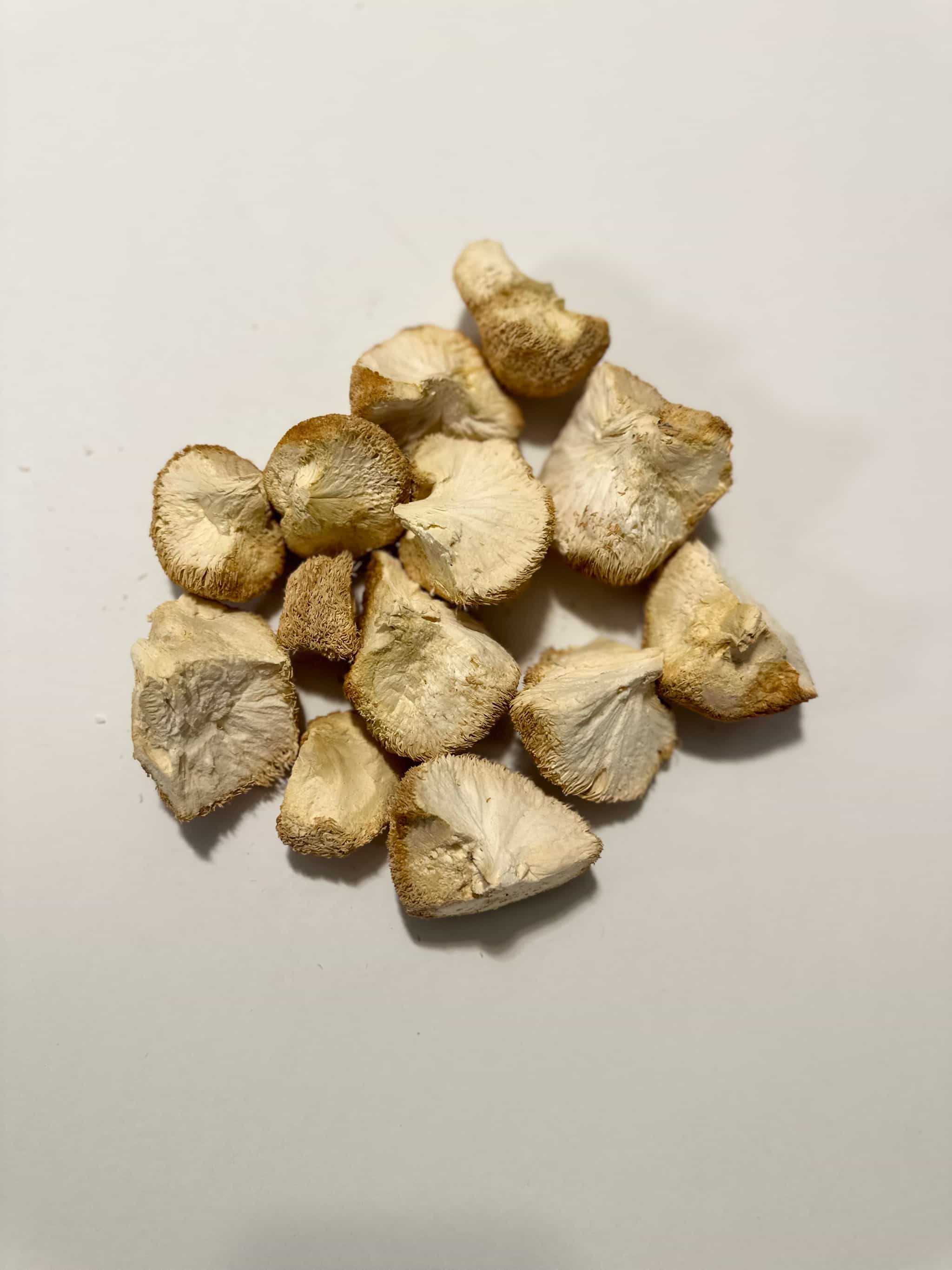 Dried Lion's Mane