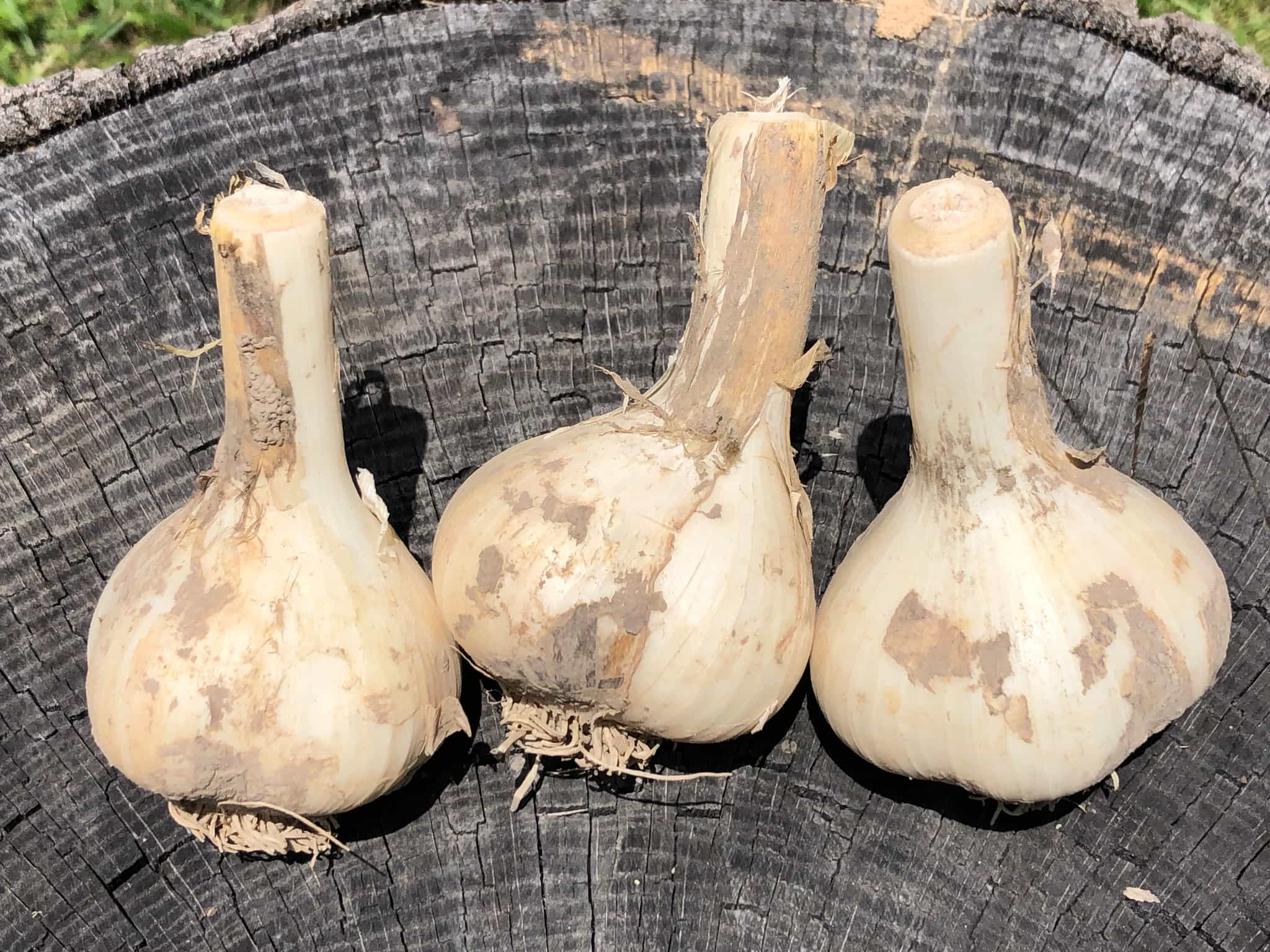 Product thumbnail #3