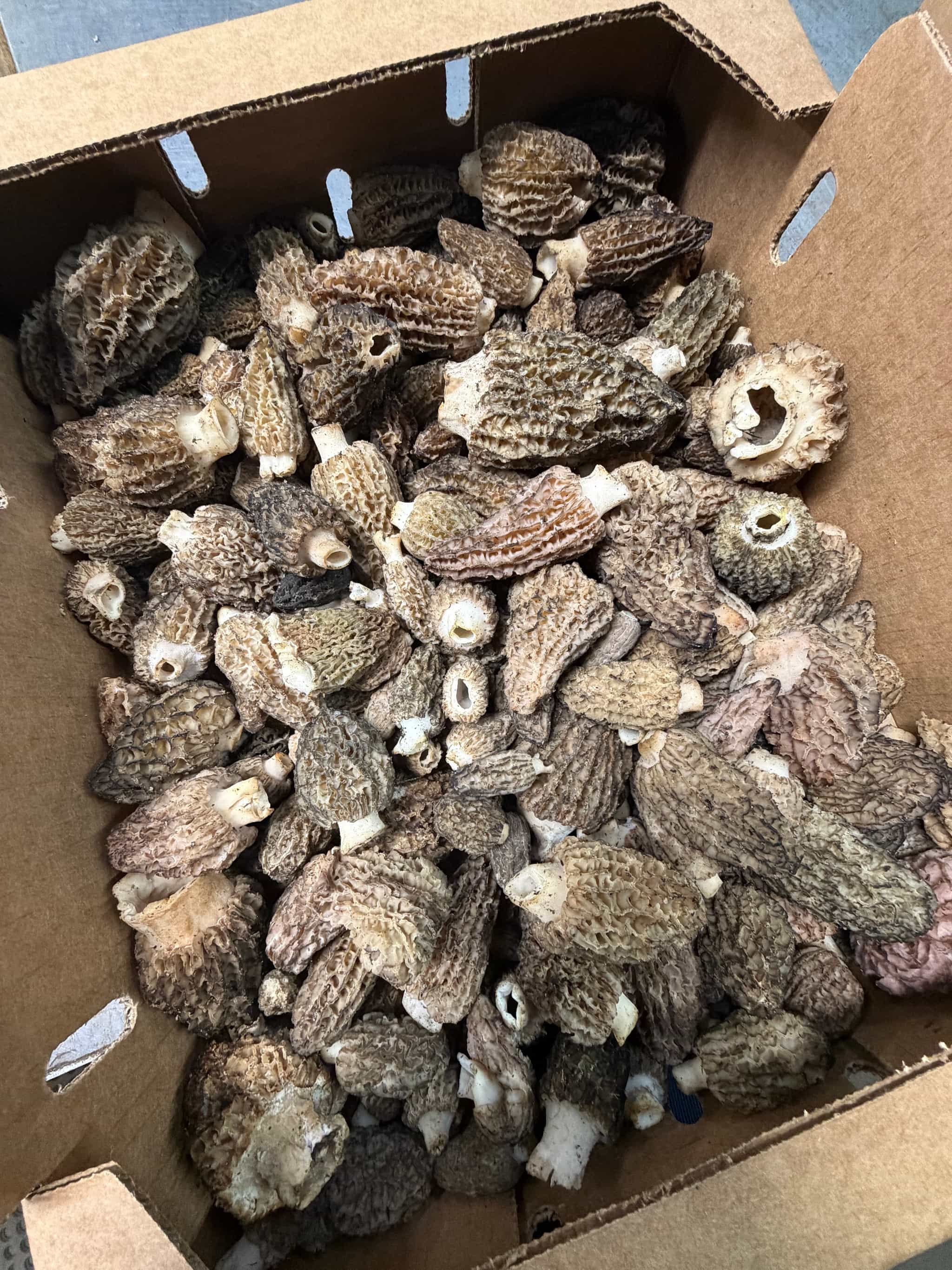 Product thumbnail #4