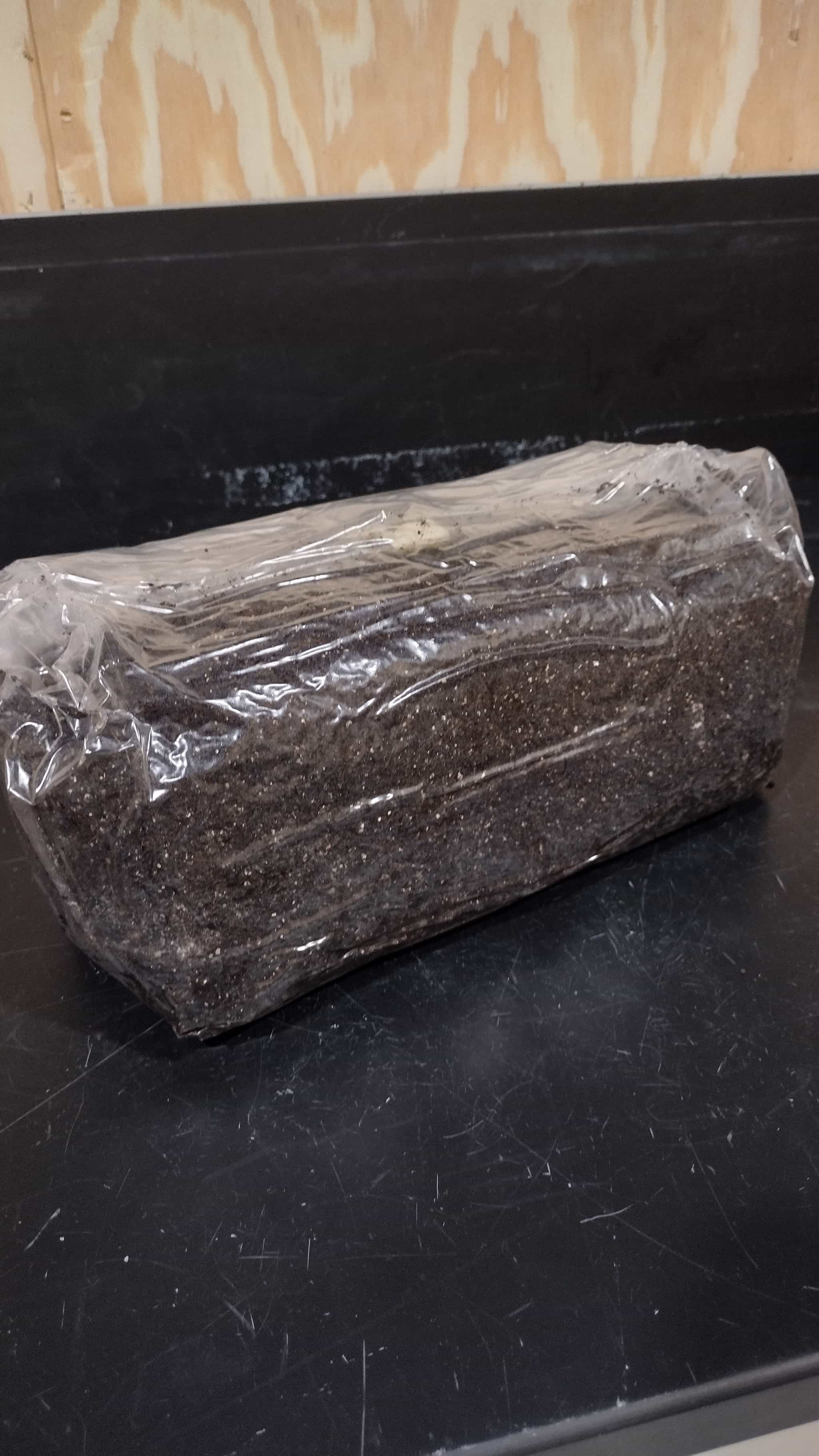 Product image #1