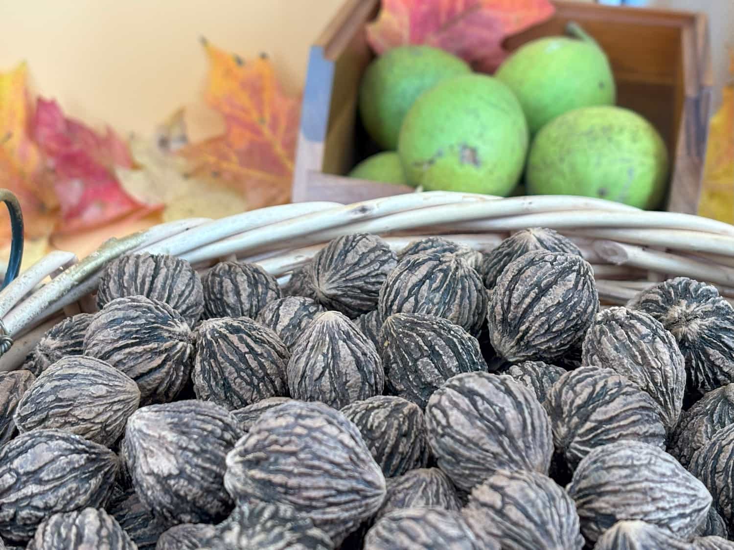 Product thumbnail #2