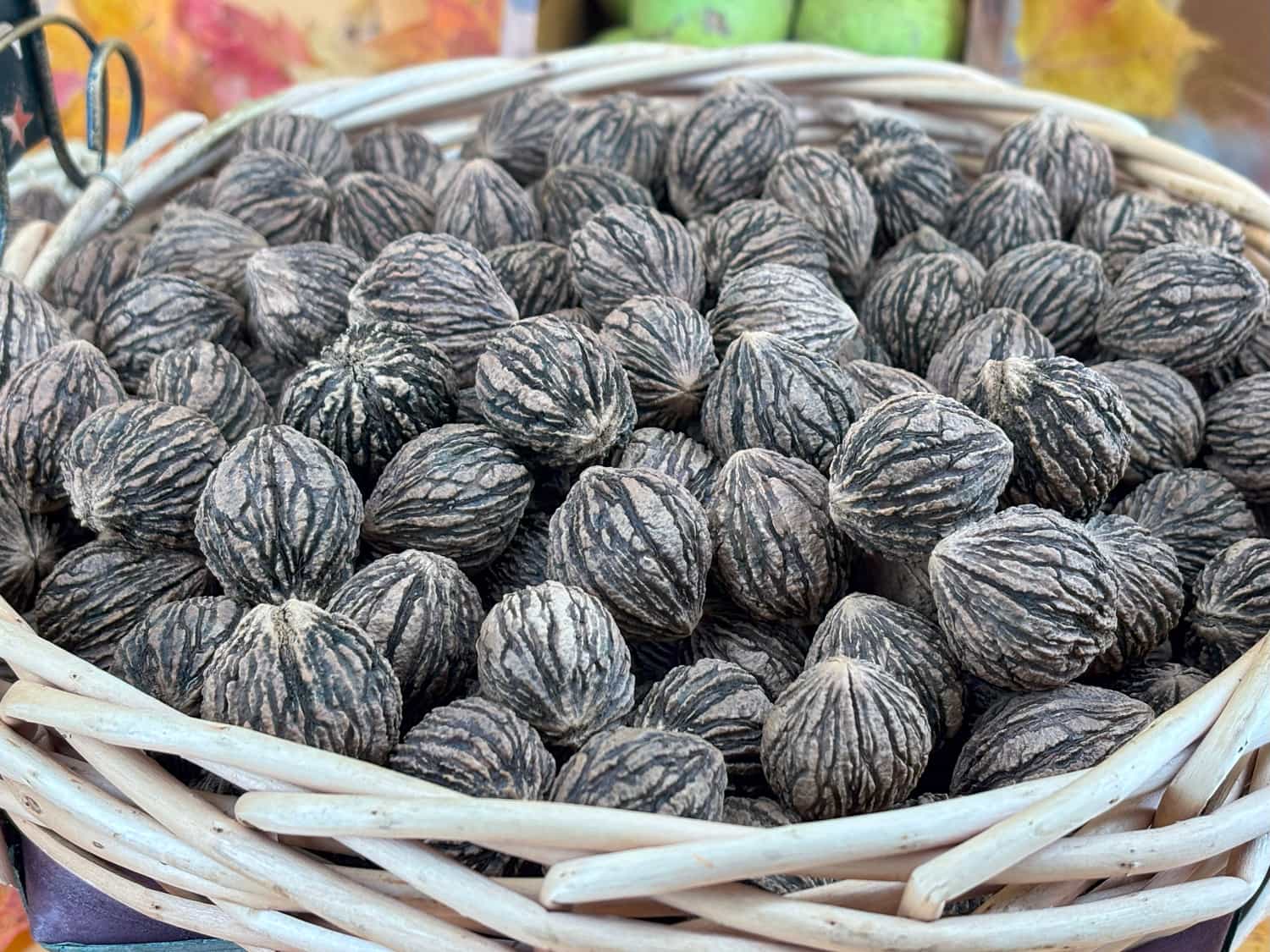 Product thumbnail #7