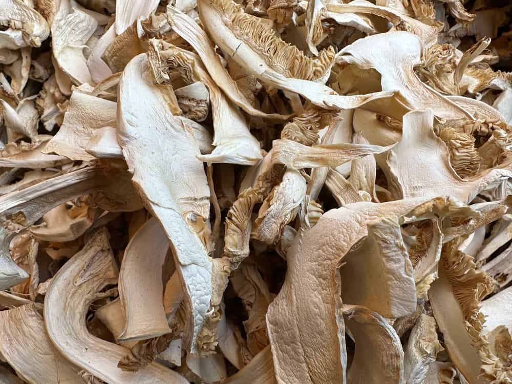 Dried matsutake Foraged