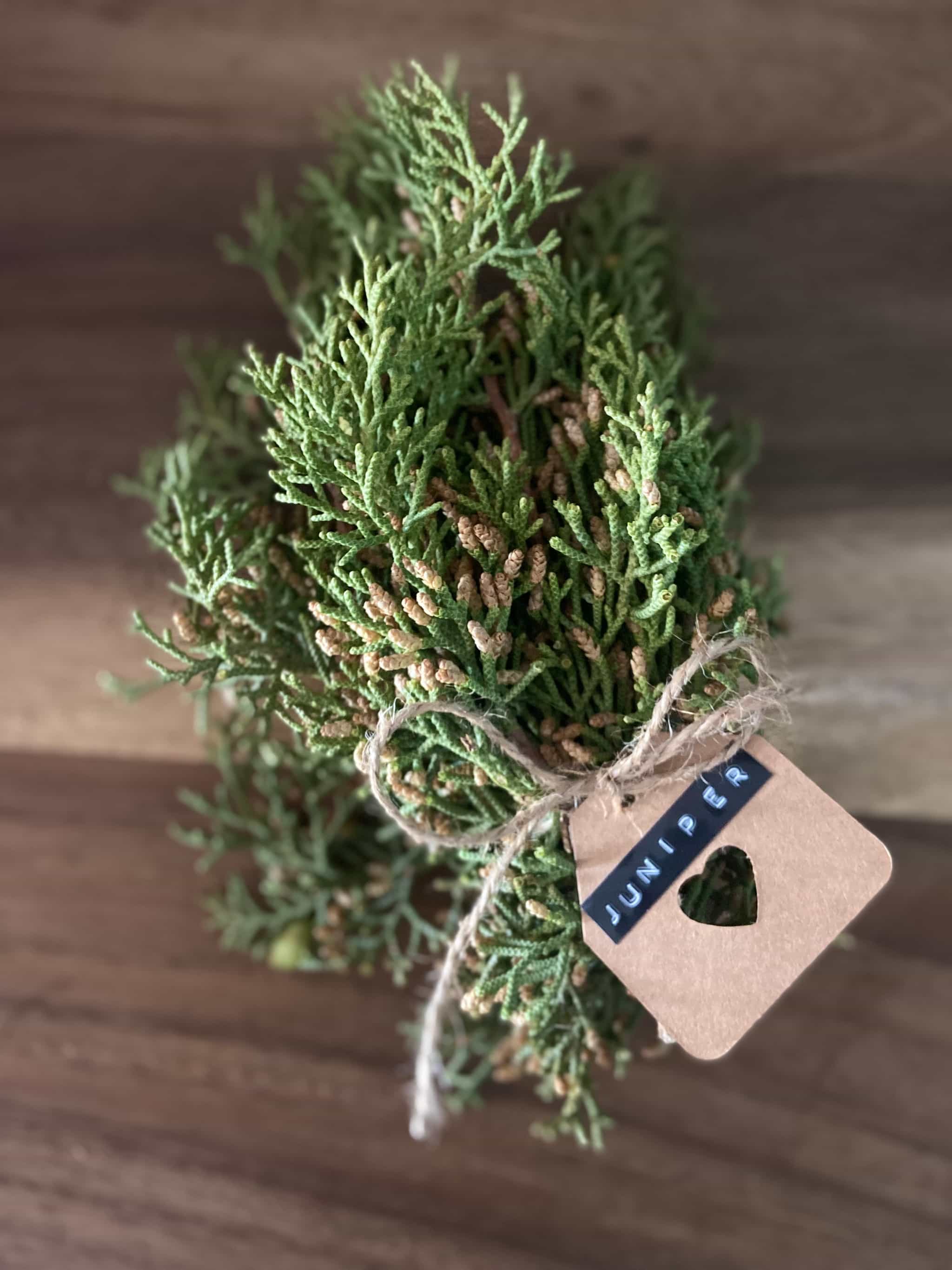 Product image #3