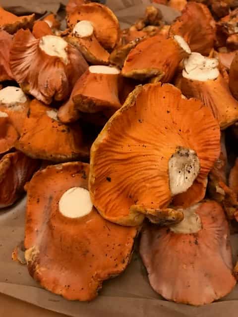 Lobster Mushroom - Fresh