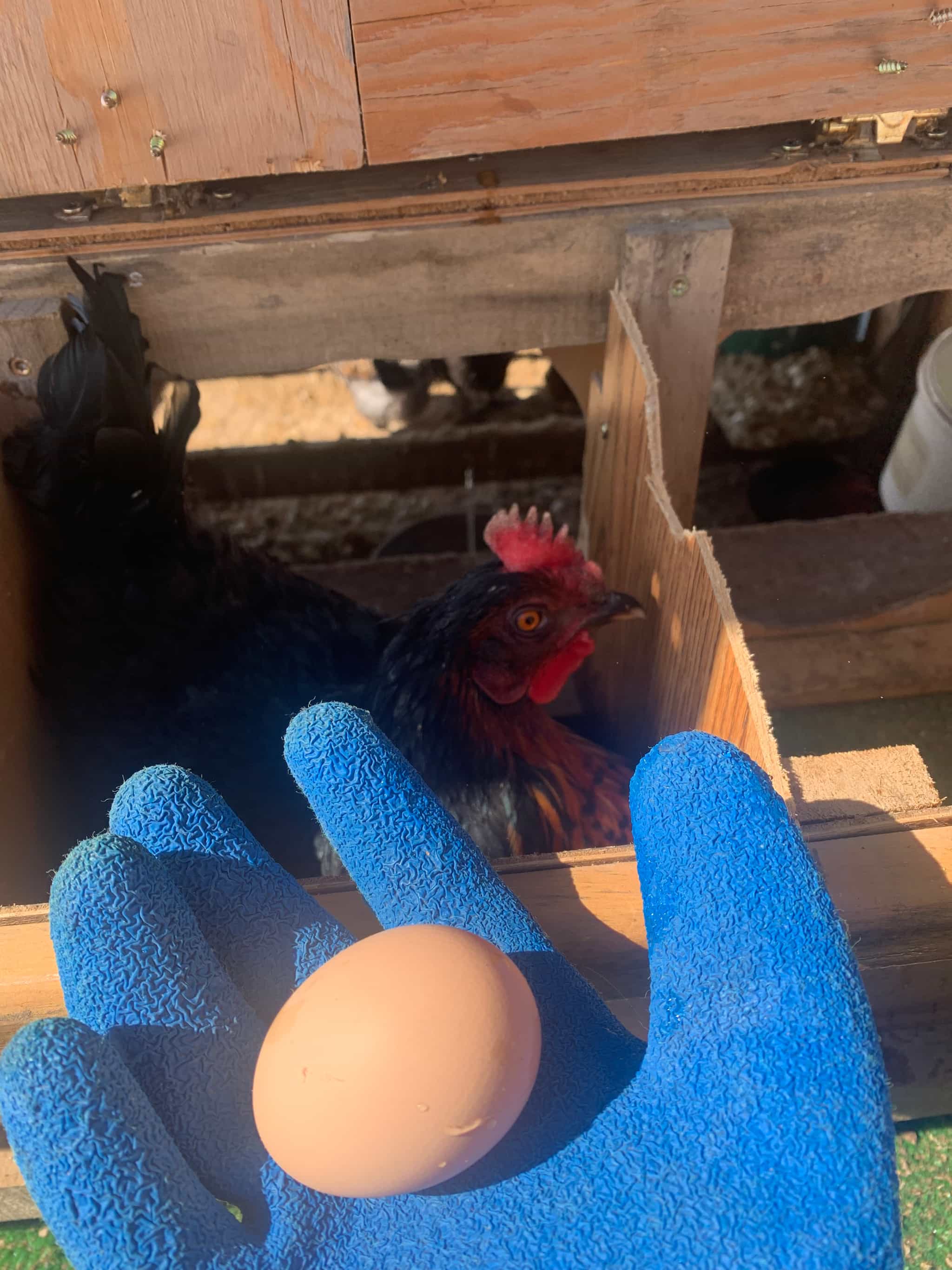 Product thumbnail #1