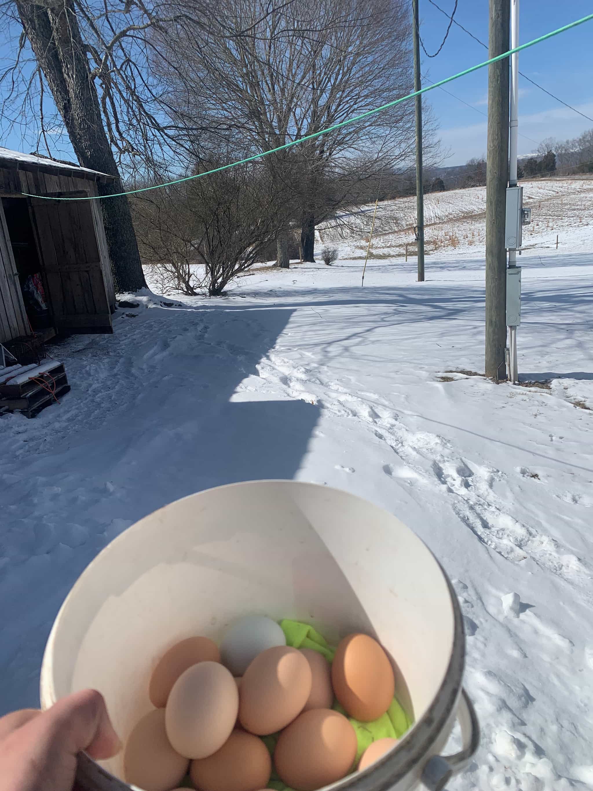 Product thumbnail #3