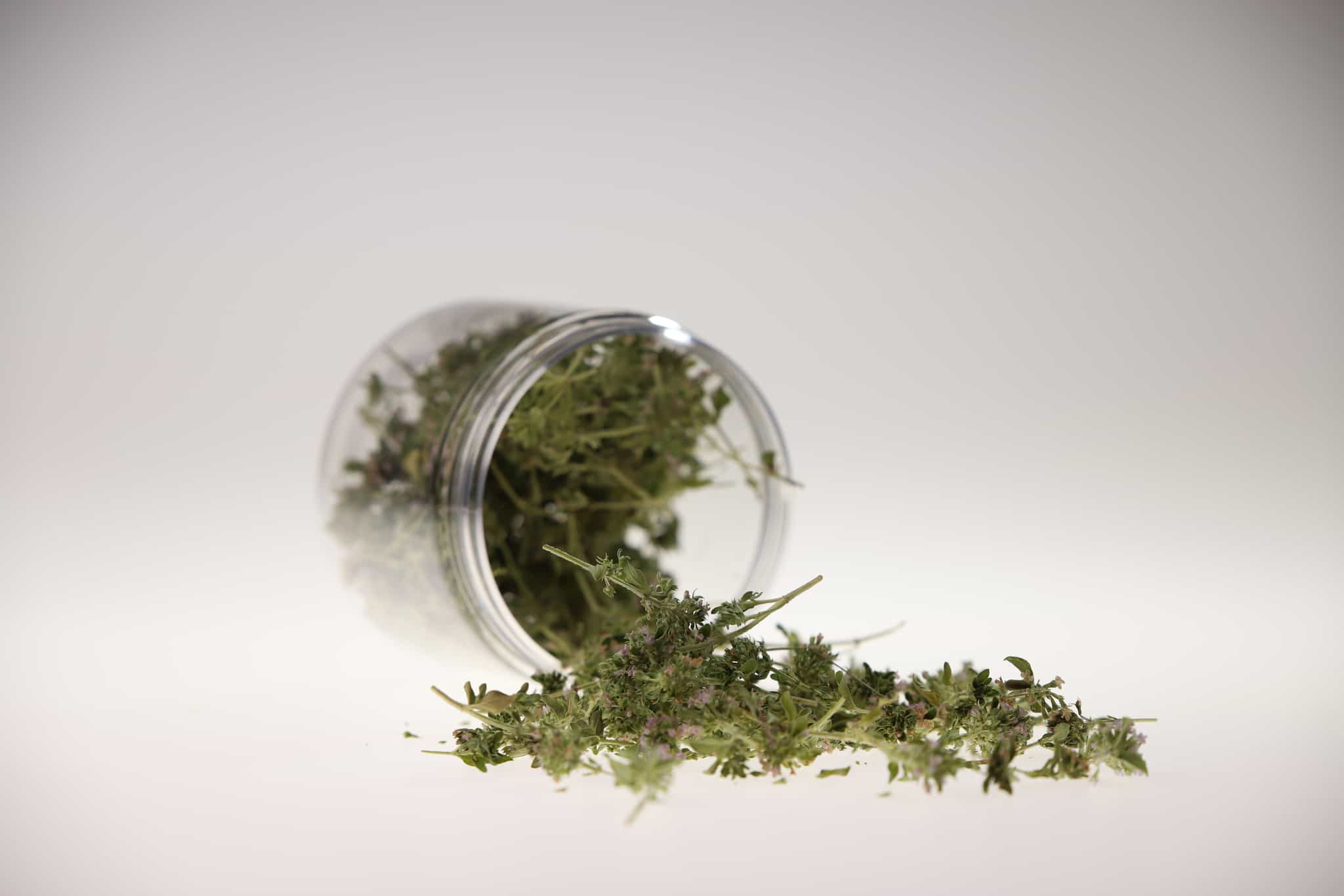 Wild thyme - Foraged on the meadows around Kobarid, Slovenia