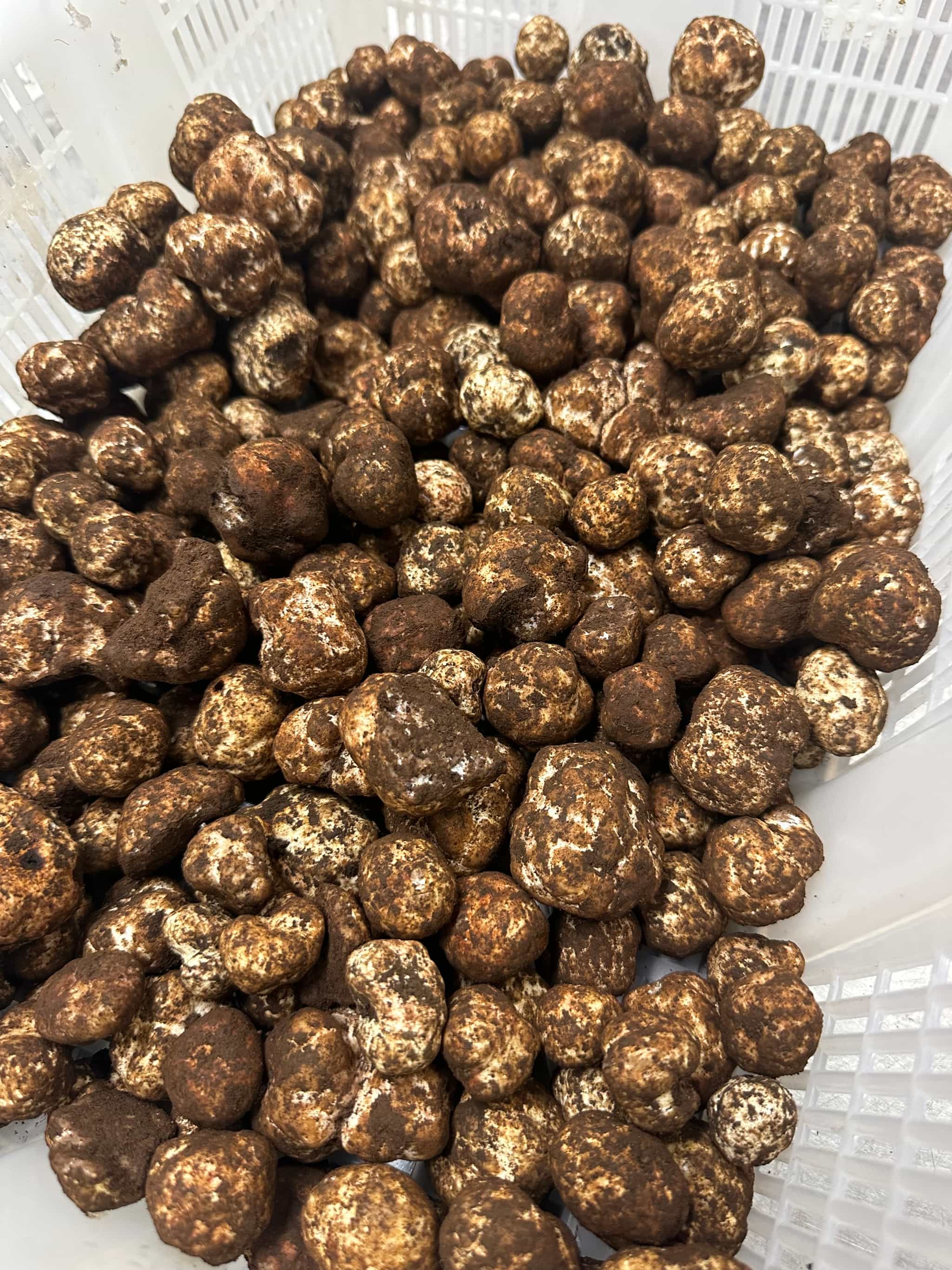 Product thumbnail #1