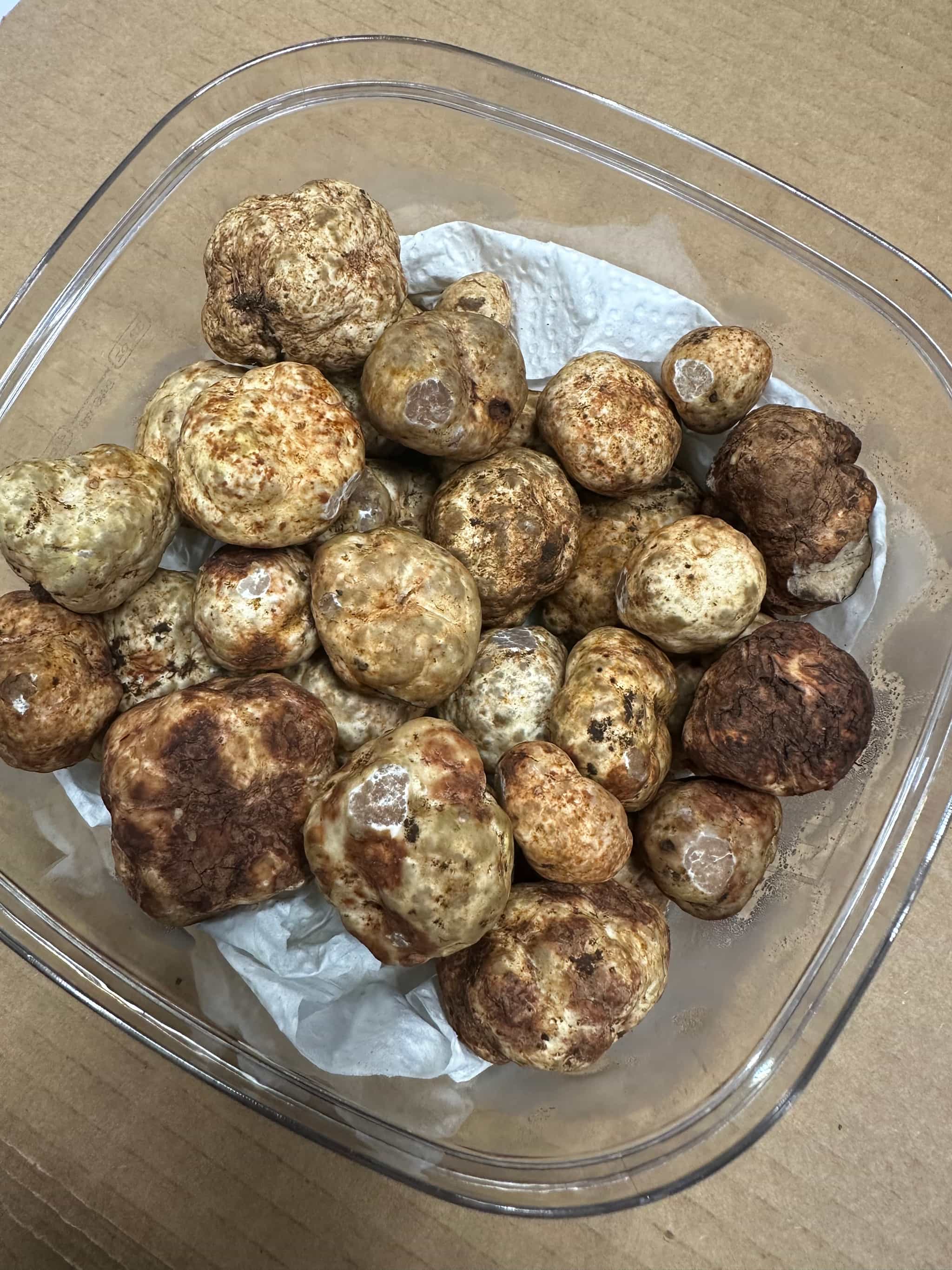 Fresh Oregon White Truffles (1 oz) - Tuber Oregonense (Dog Harvested)