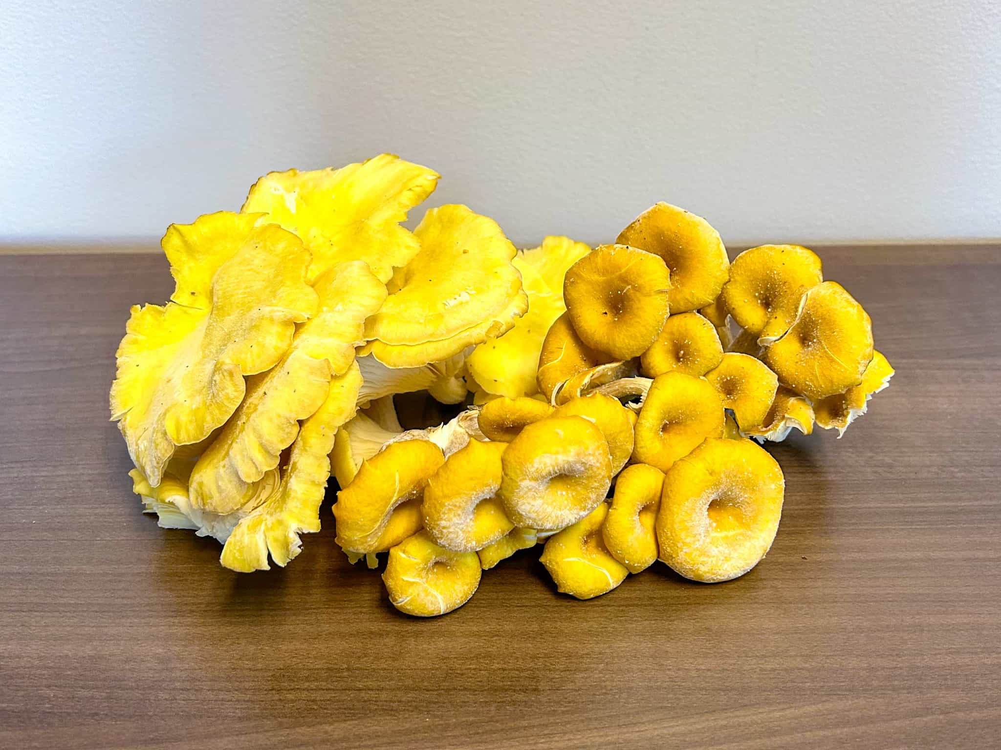 Product thumbnail #1