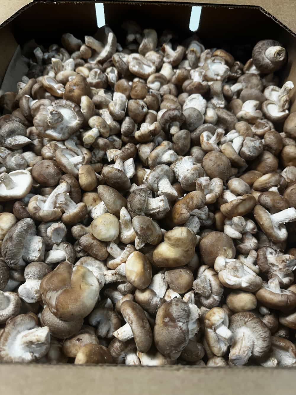 Buy - Fresh Baby Shiitake Mushrooms (1 lb)