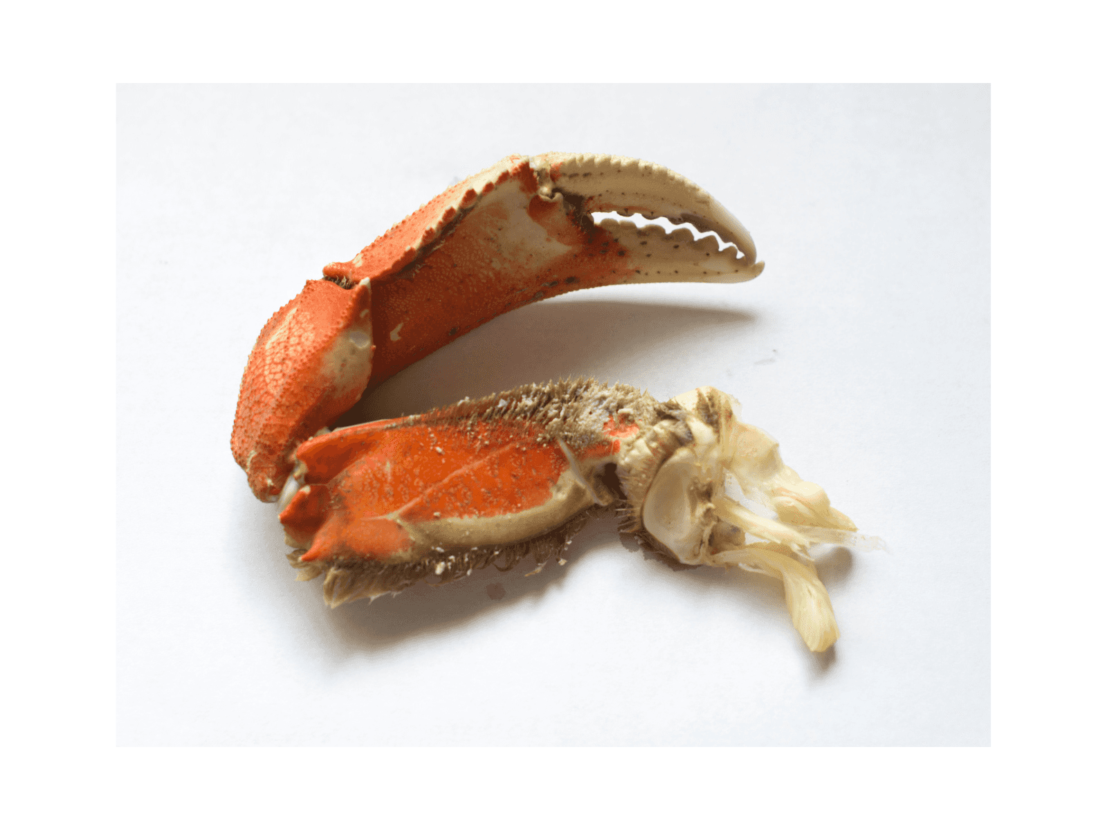 Product image #2