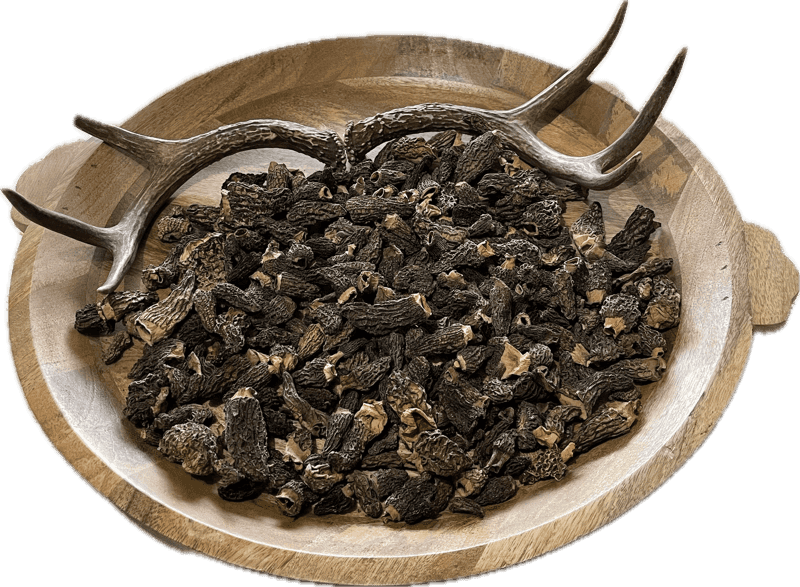 Dried Morel Mushrooms - Foraged