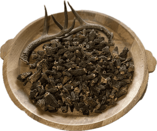 Dried Morel Mushrooms - Foraged