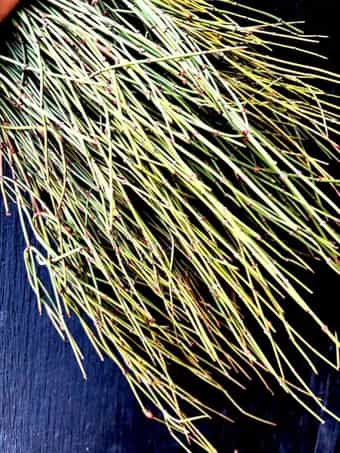 Product thumbnail #12