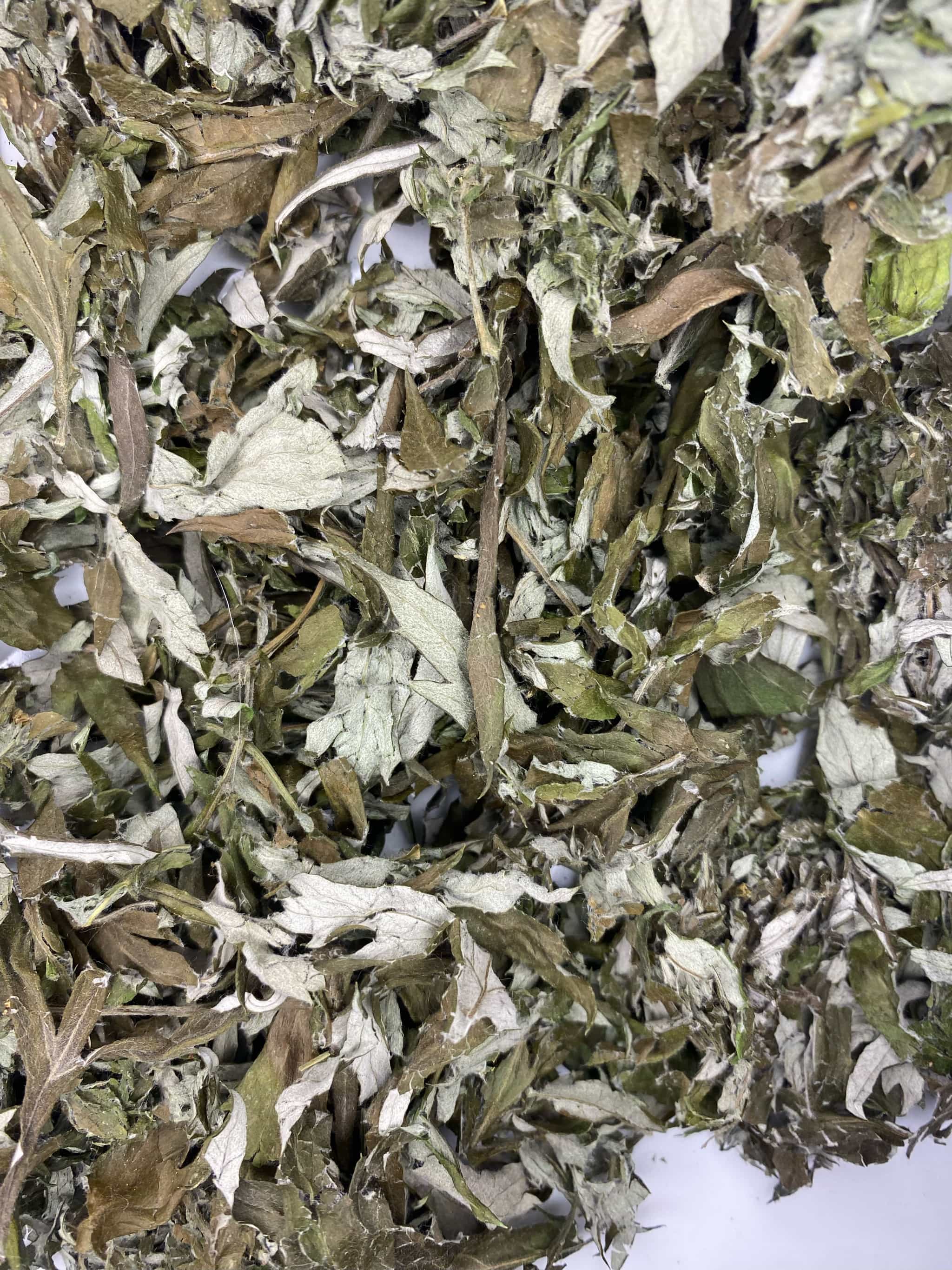 Product image #1